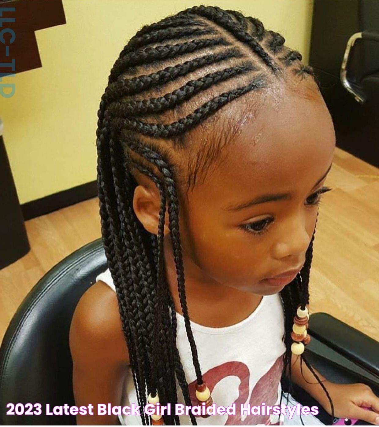 2023 Latest Black Girl Braided Hairstyles