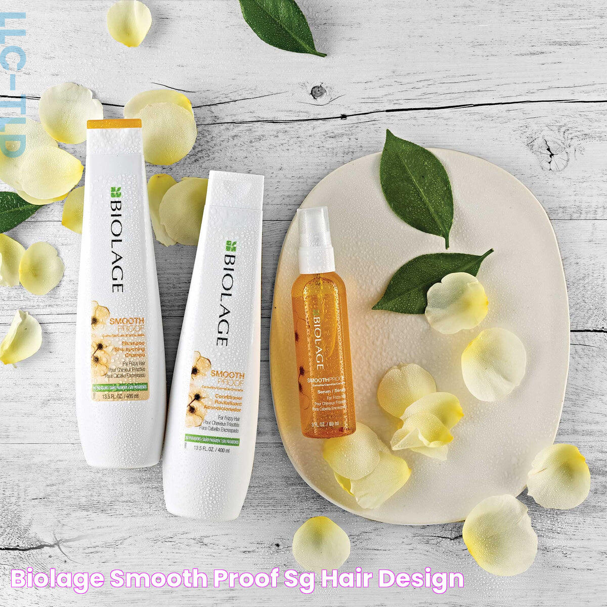 BIOLAGE SMOOTH PROOF SG Hair Design