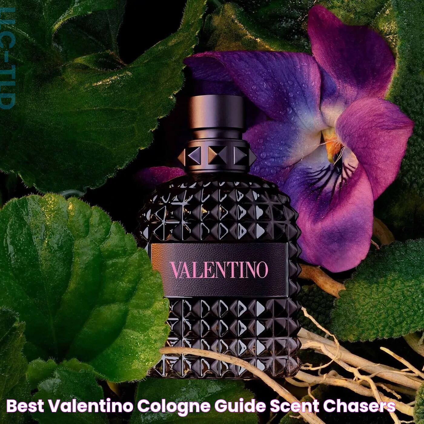 The Ultimate Guide To Nordstrom Valentino Cologne: Elevate Your Fragrance Game