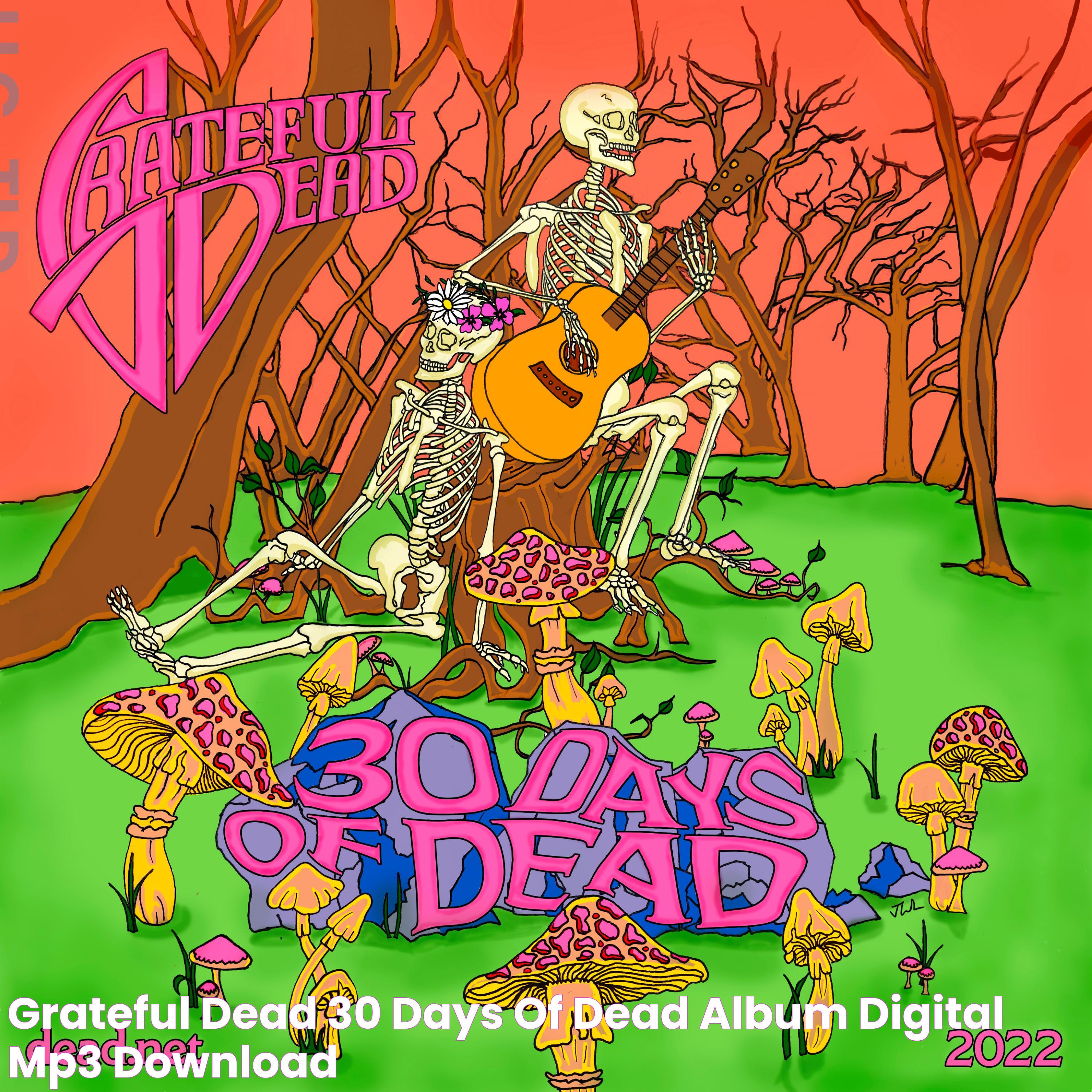 Experience The Magic Of 10 20 74 Grateful Dead