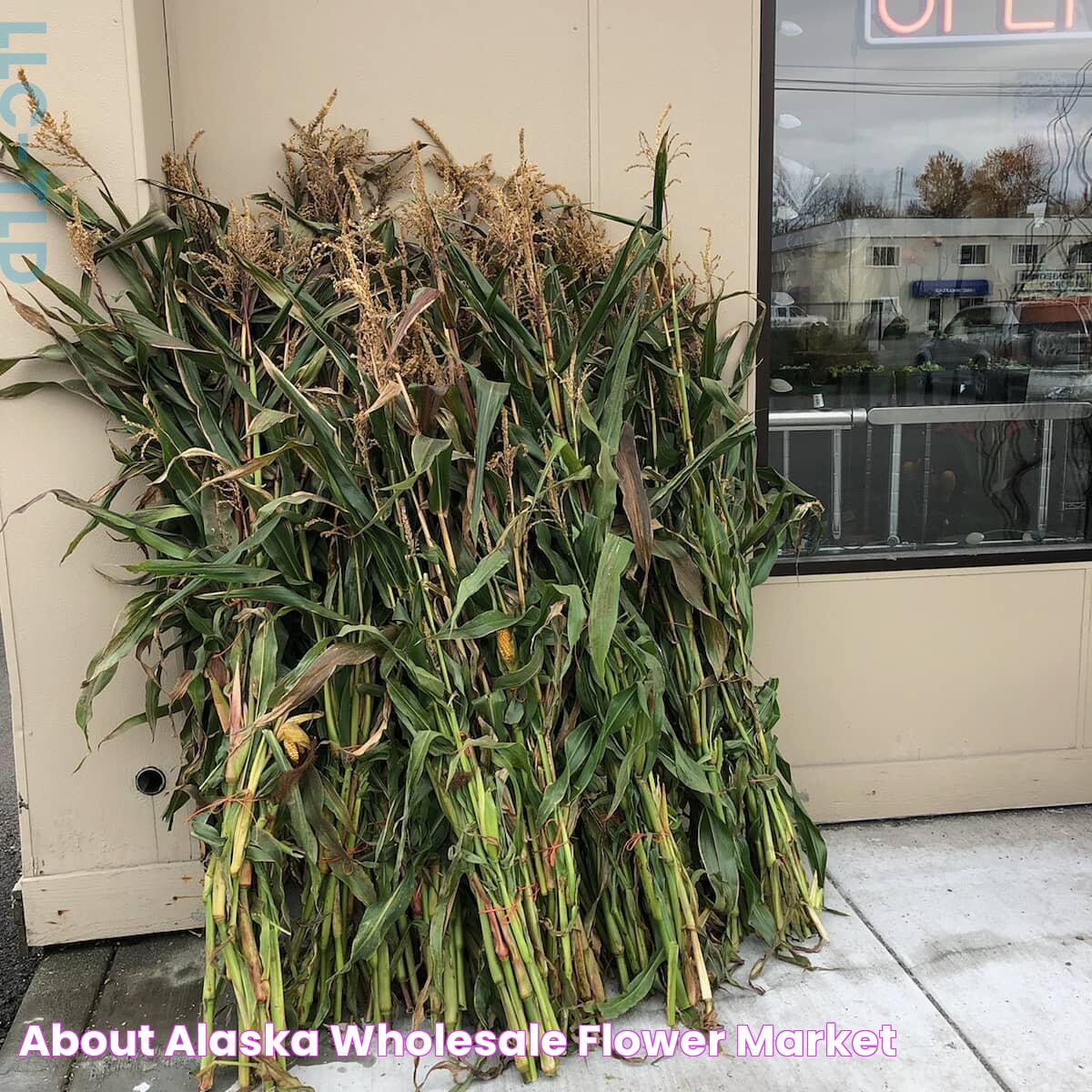 About — Alaska Wholesale Flower Market