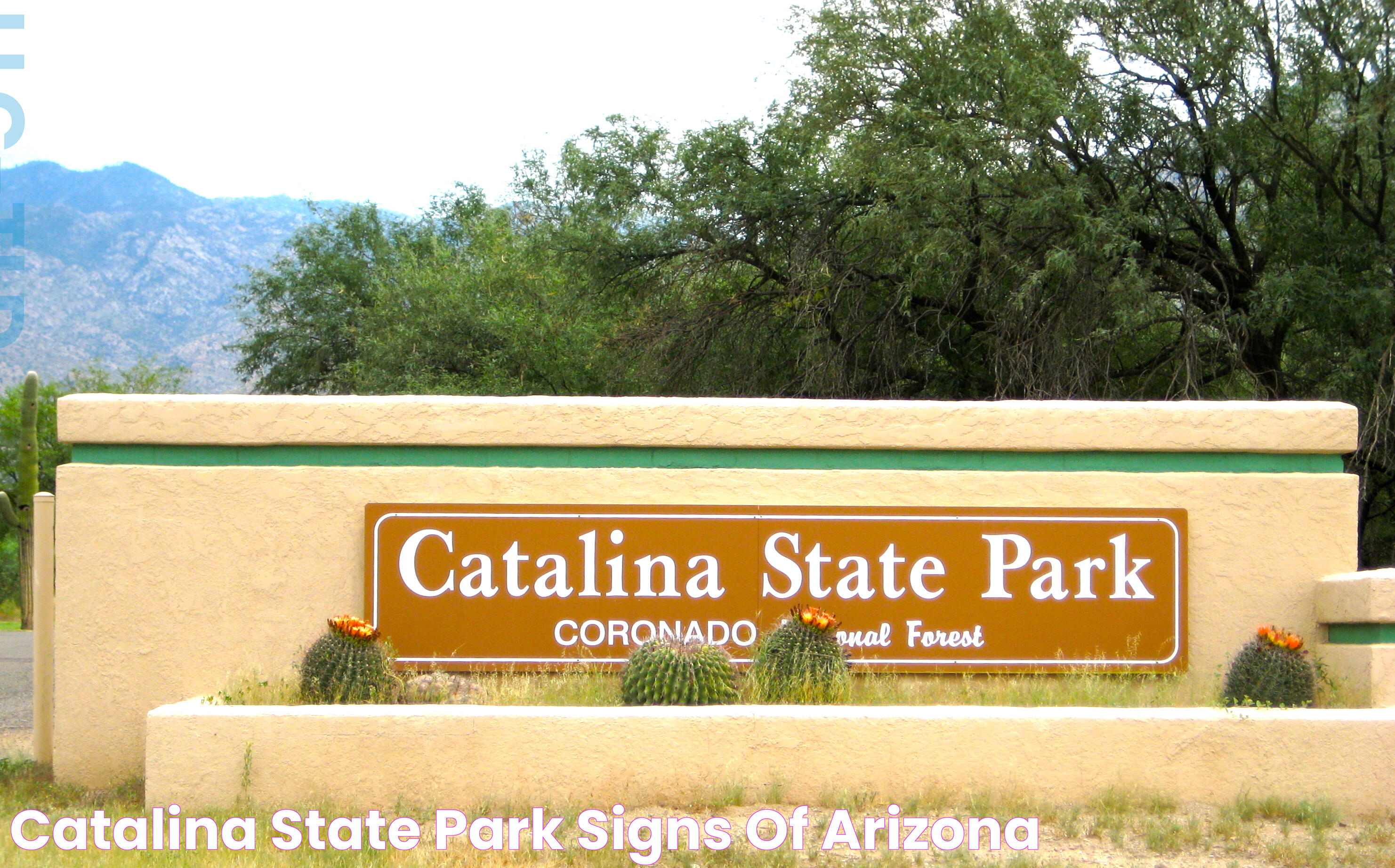 Ultimate Guide To Catalina State Park: Nature, Trails, And Activities