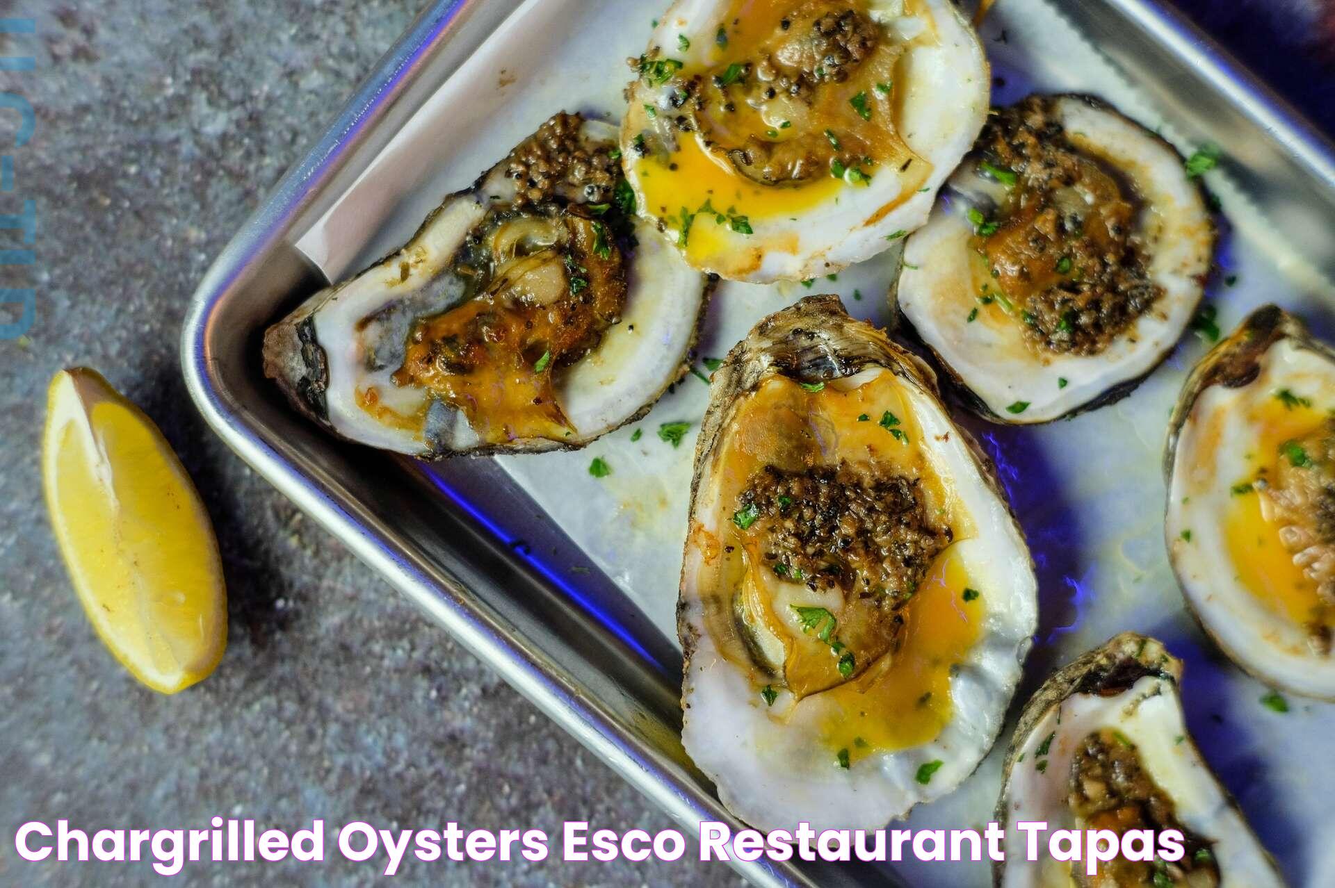 Chargrilled Oysters Esco Restaurant & Tapas