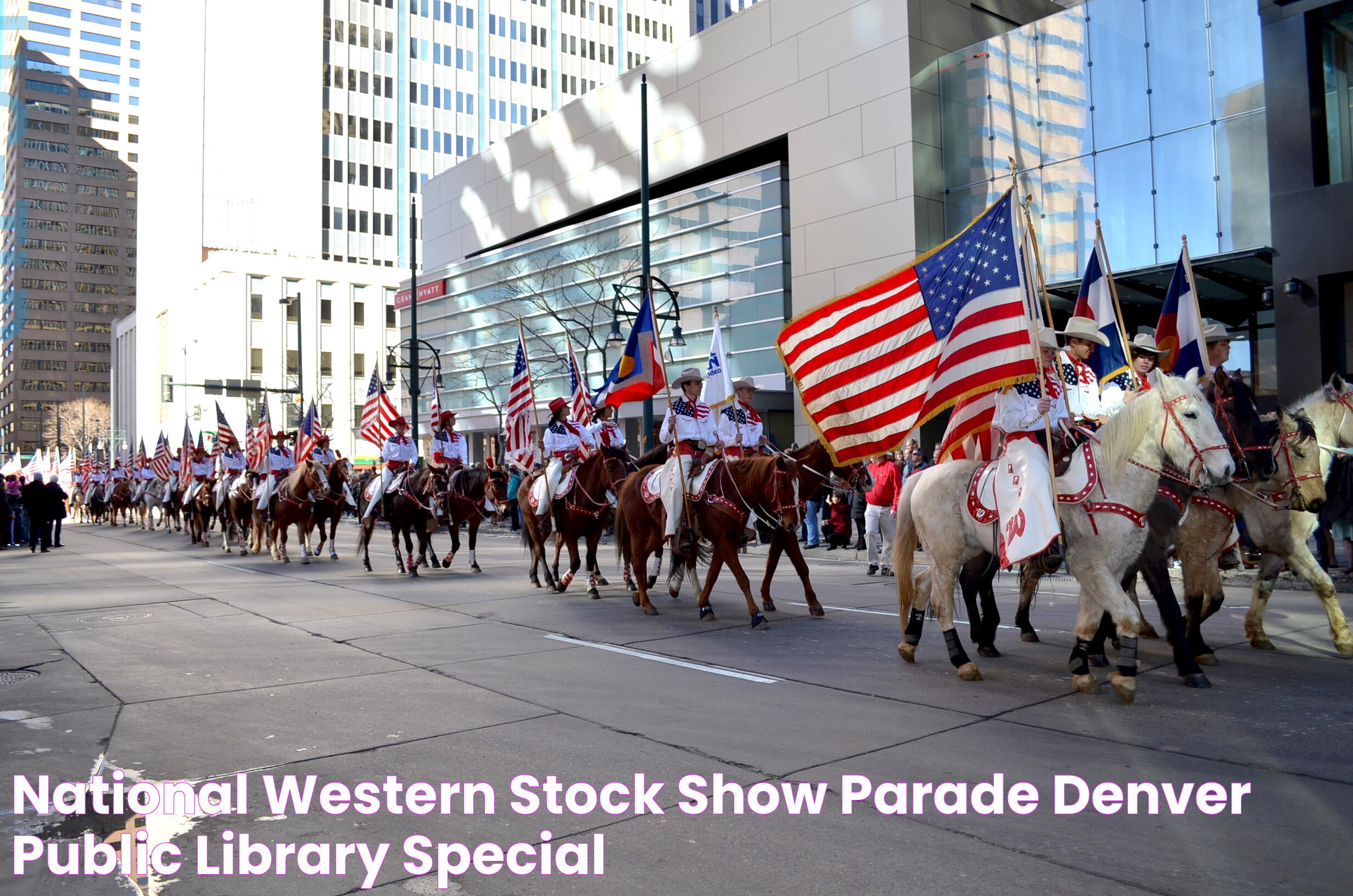 The Ultimate Guide To The National Western Stock Show: Everything You Need To Know