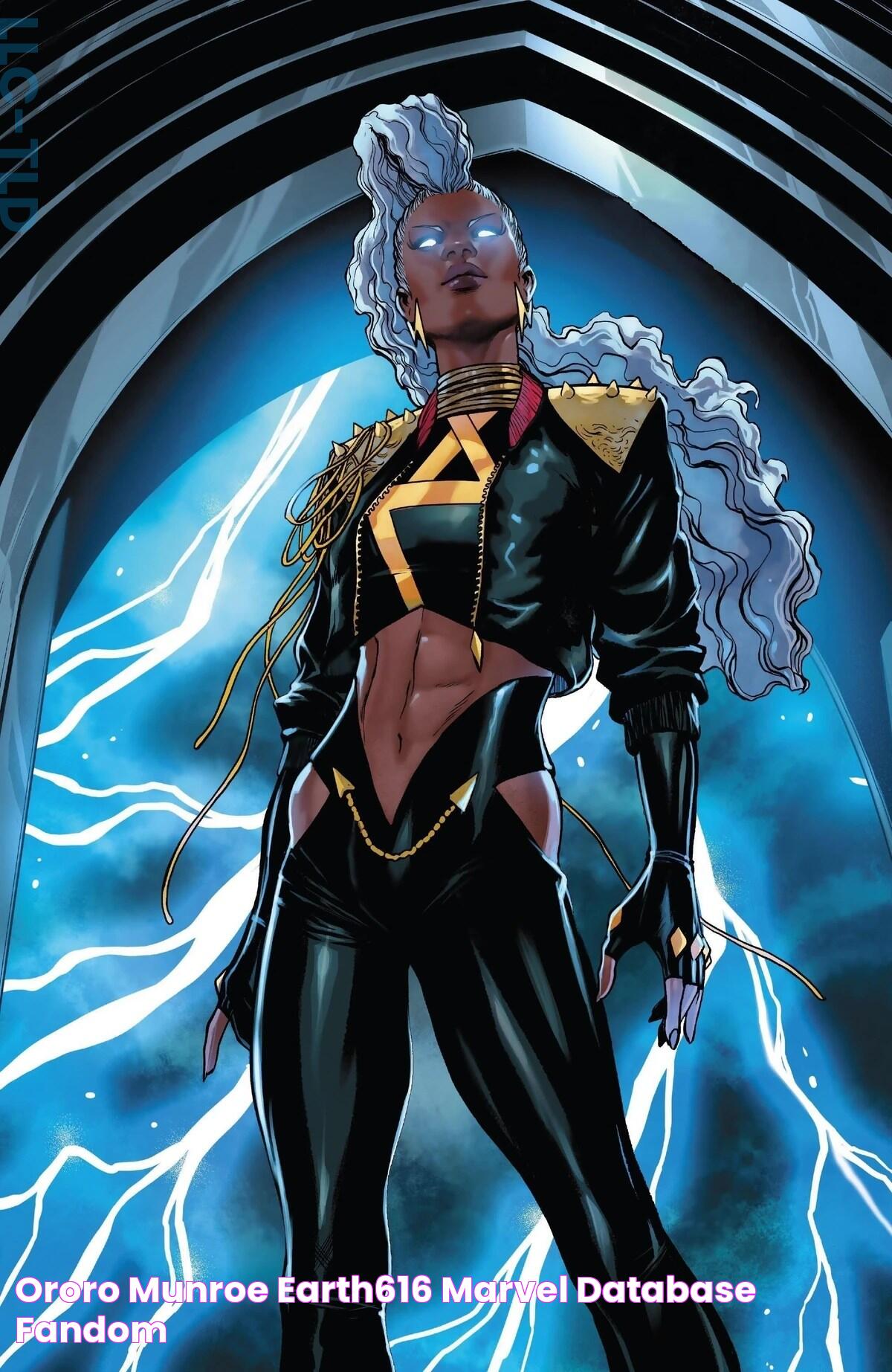 Ororo Munroe: The Untold Story Of Marvel's Storm