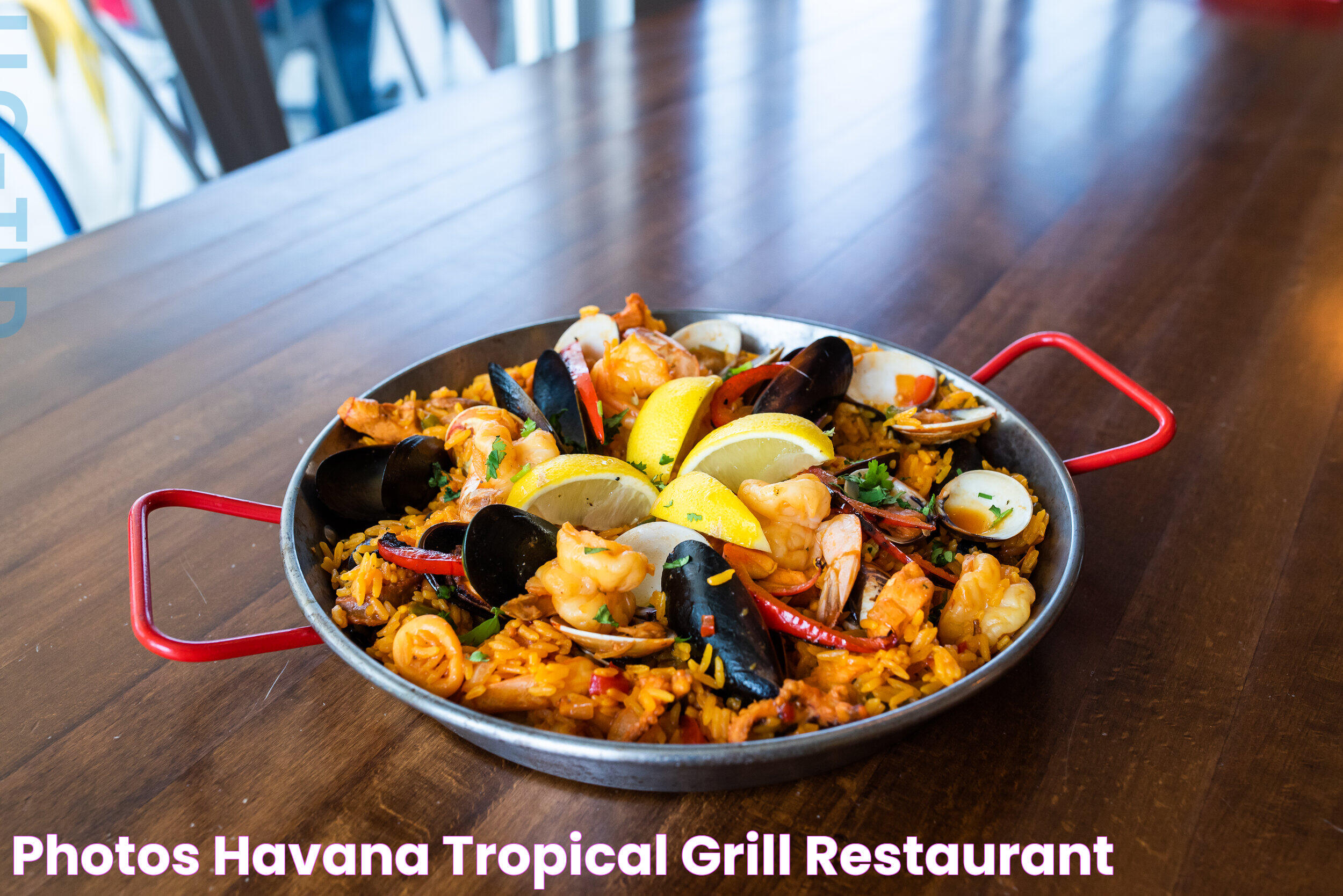 Havana Grill: A Culinary Experience Like No Other