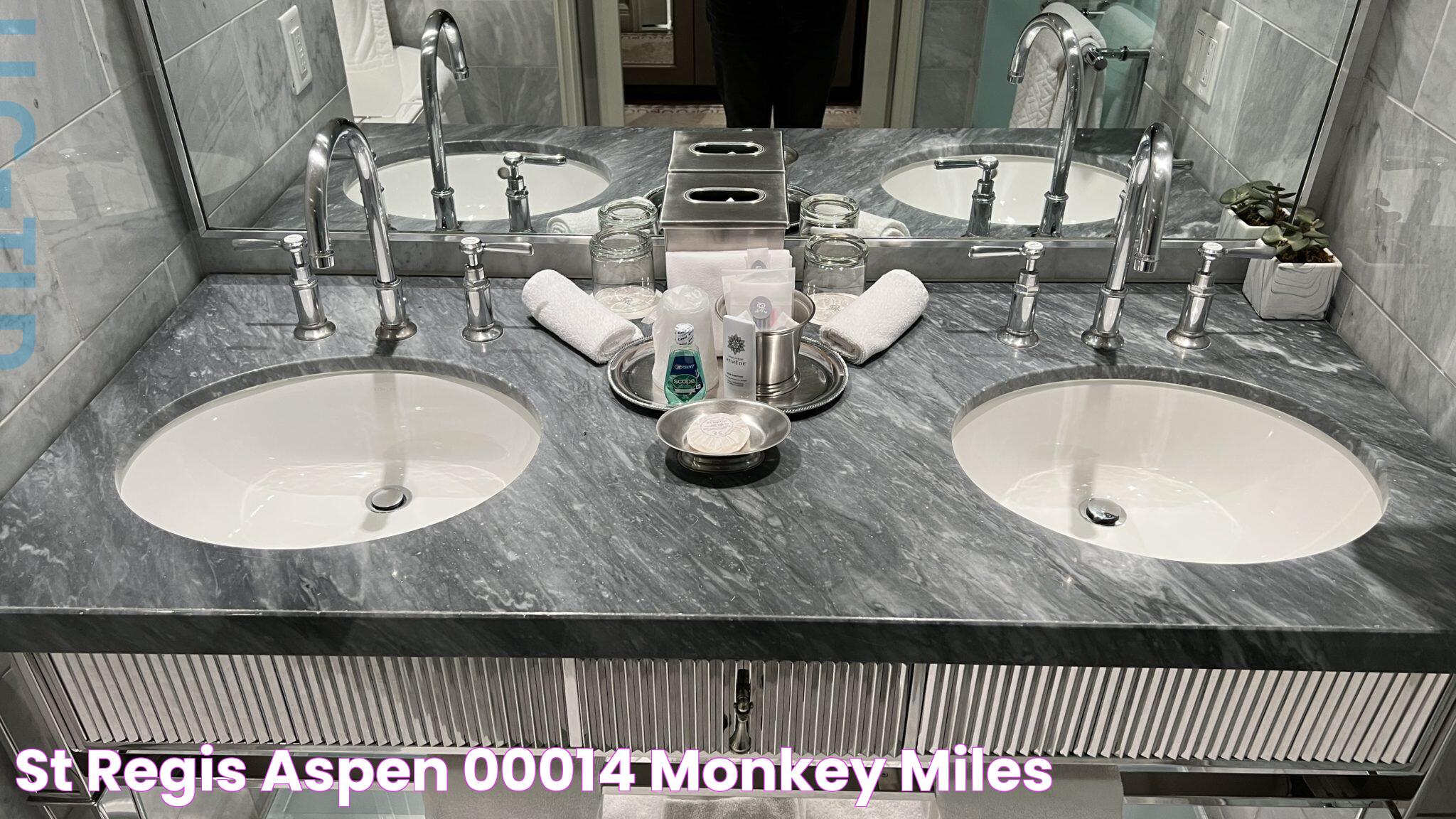 St Regis Aspen 00014 Monkey Miles