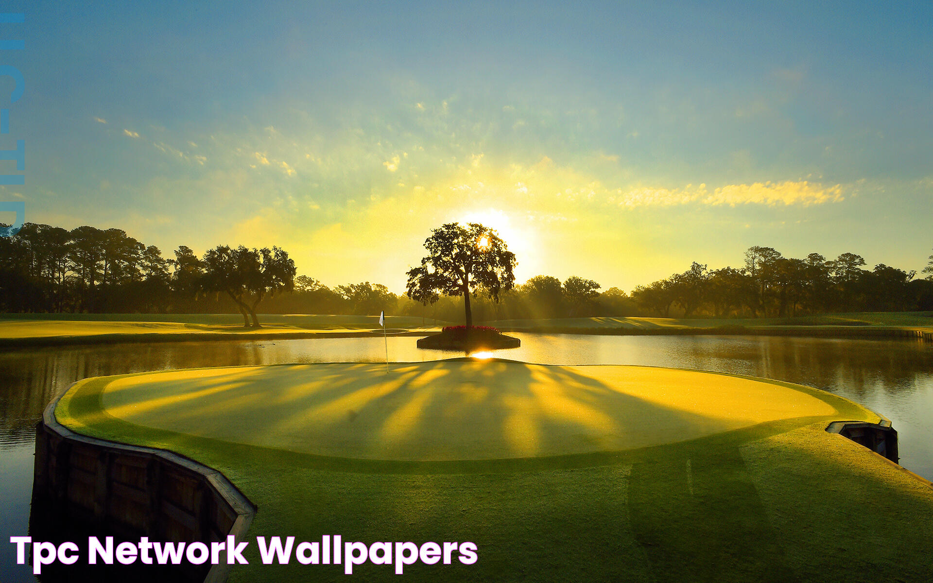 Masterpiece Of Golf: The Ultimate Guide To TPC Sawgrass