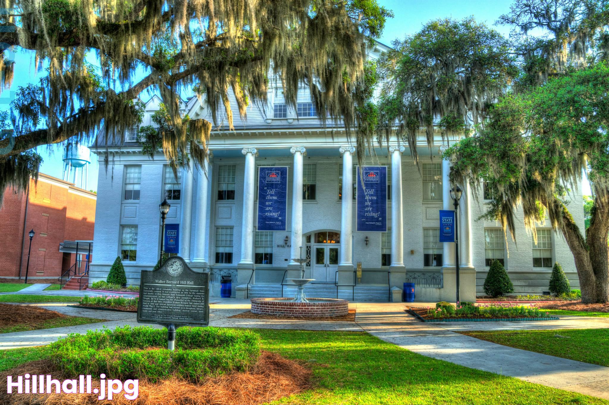 Ultimate Guide To Savannah State D2L: Features, Benefits, And FAQs