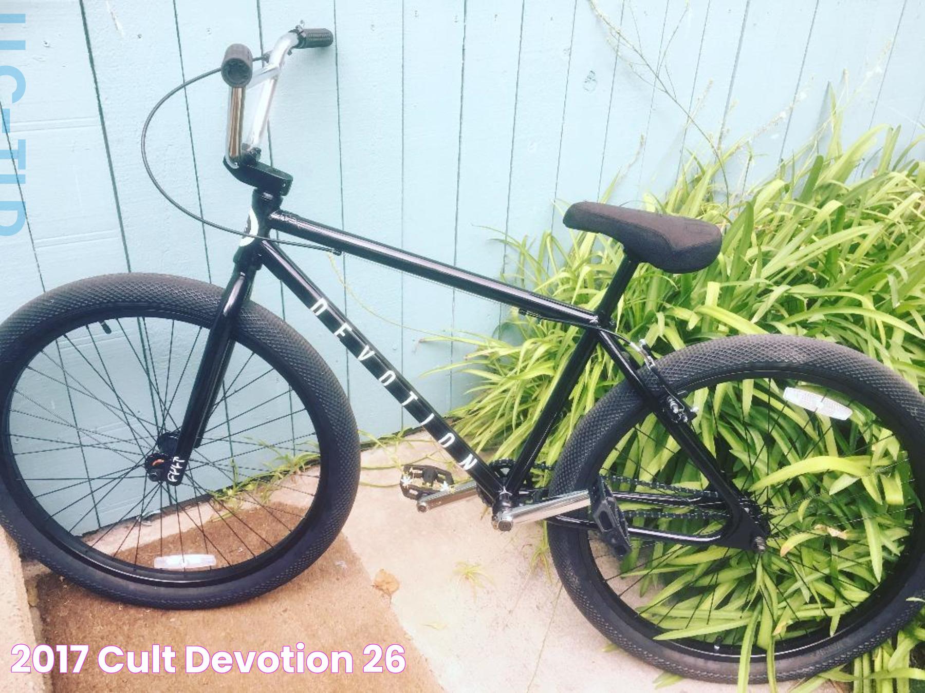 2017 Cult Devotion 26