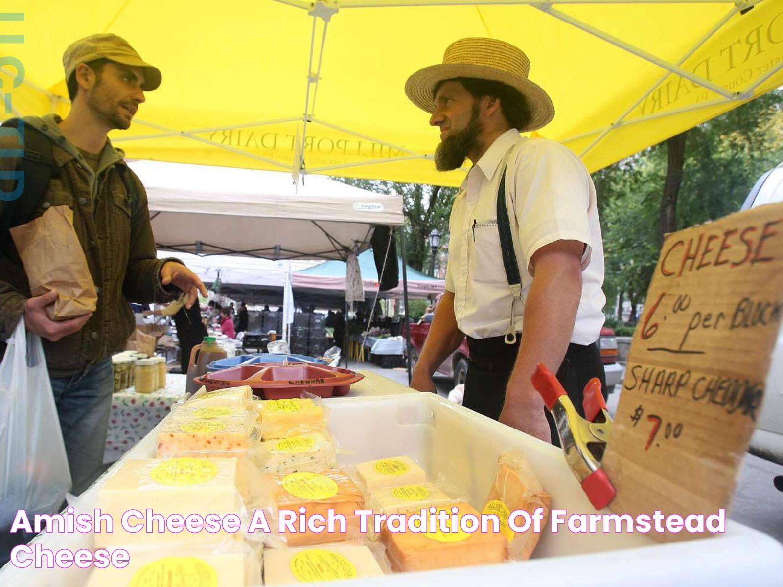 Amish Farmer: Traditions, Practices, And Their Role In Modern Agriculture