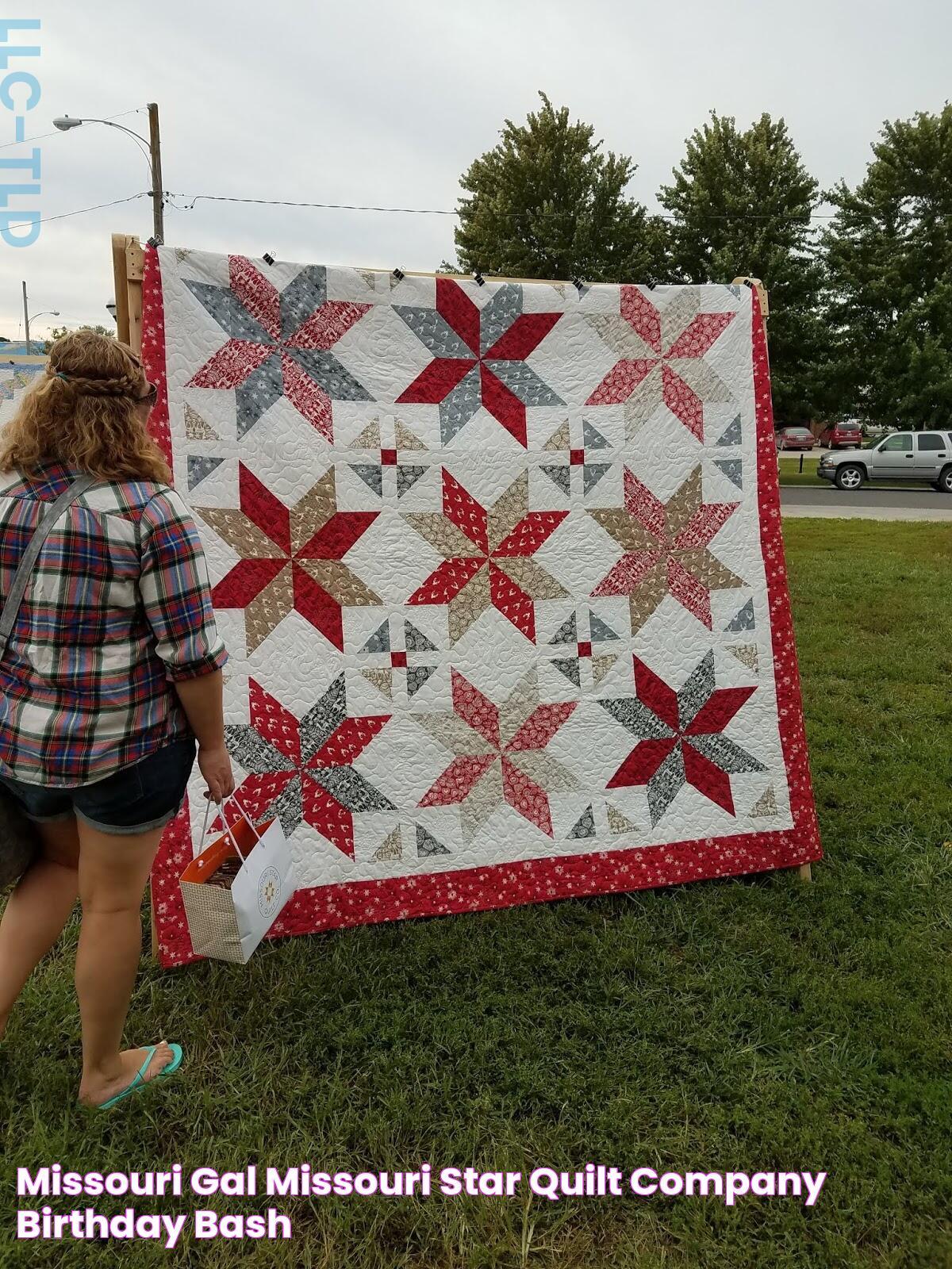 Mo Star Quilt: A Timeless Masterpiece Of Craft And Tradition