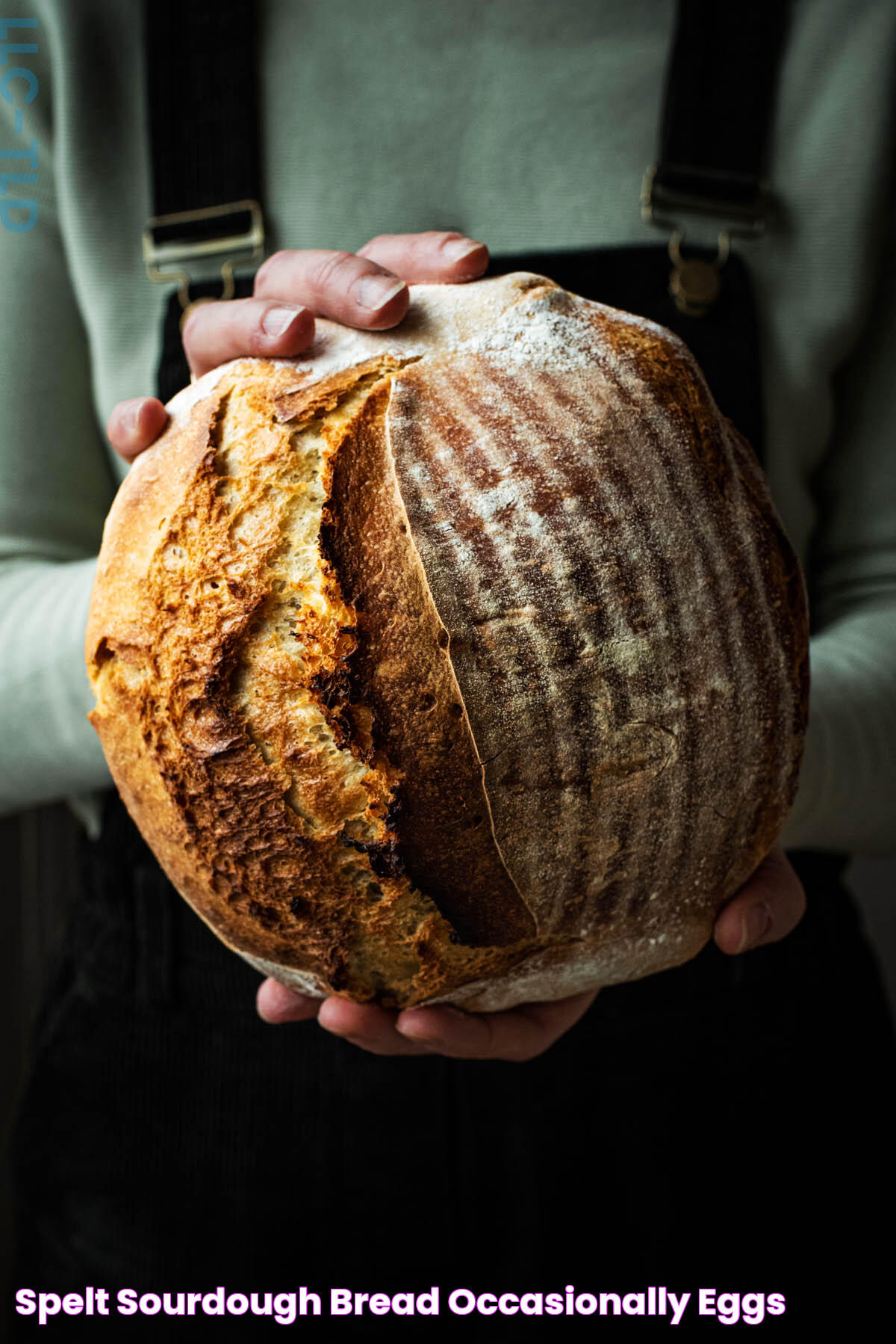 Spelt Sourdough Bread Occasionally Eggs