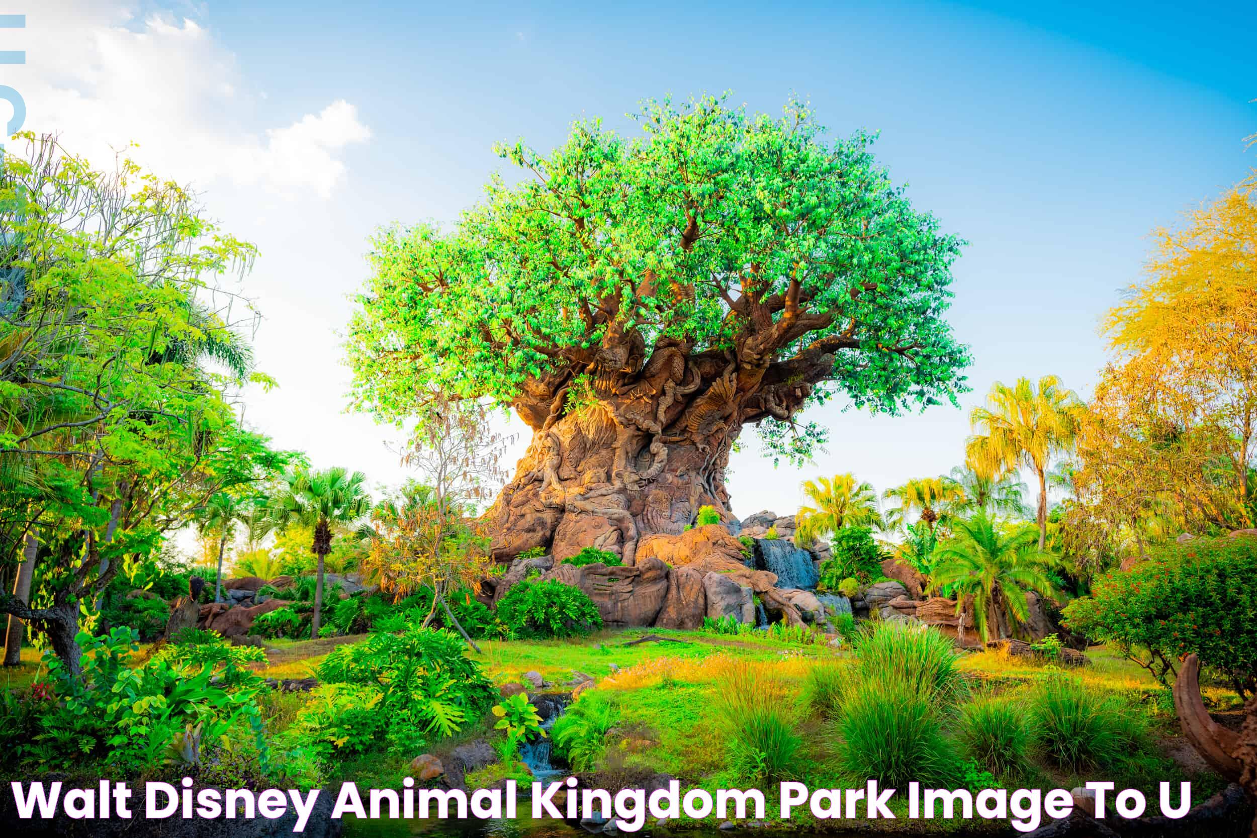 Walt Disney Animal Kingdom Park Image to u