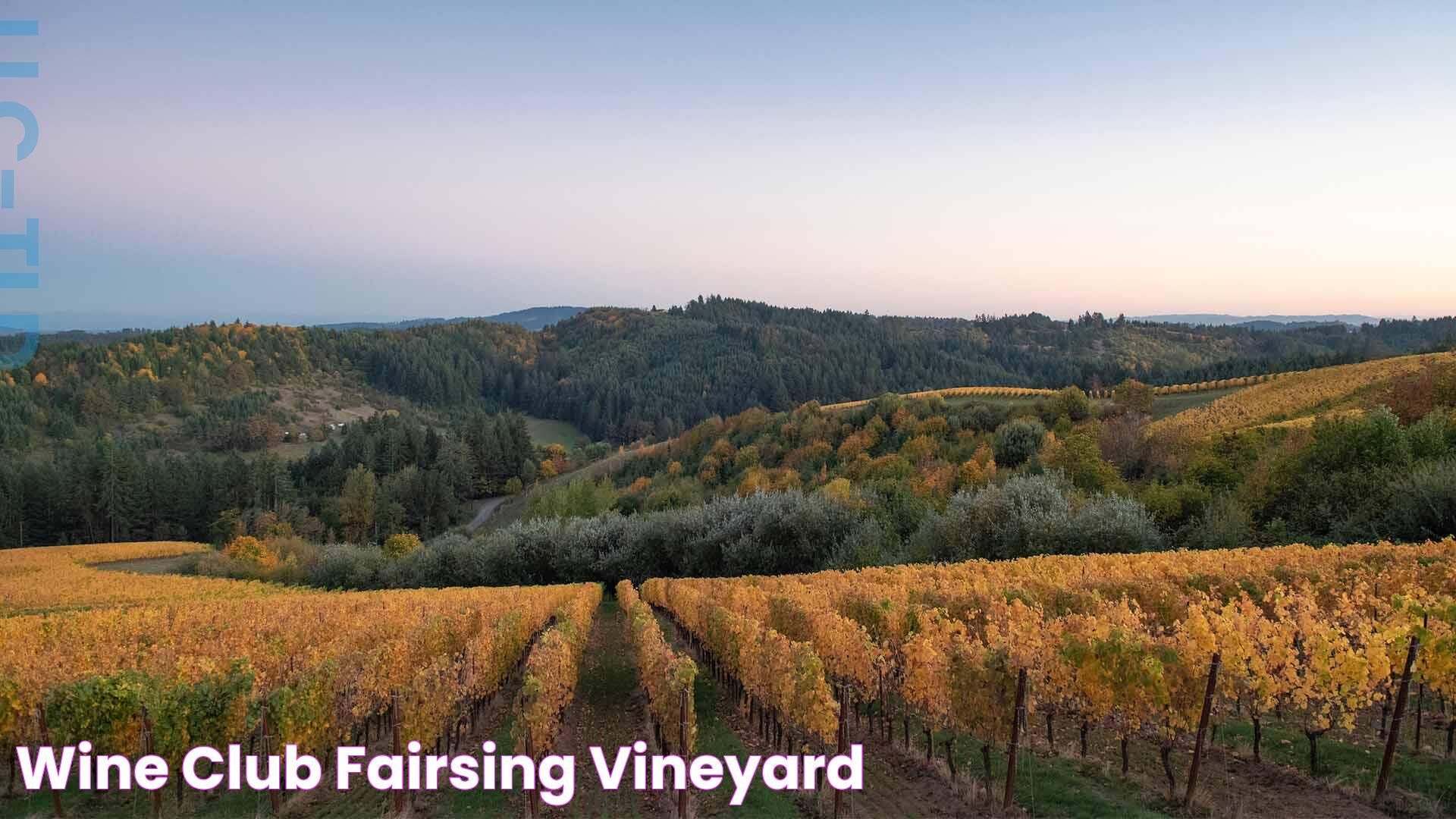 Fairsing Vineyard: A Gateway To Exquisite Winemaking And Scenic Beauty