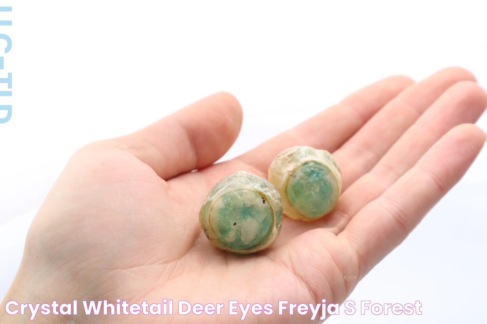 Crystal Whitetail Deer Eyes Freyja's Forest