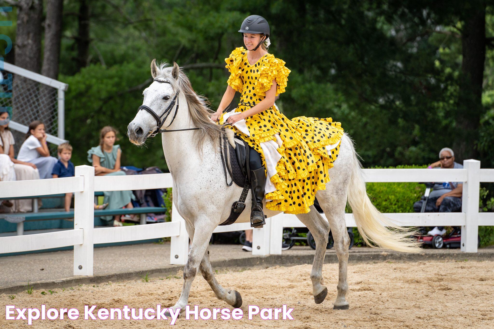 Ky Horse Park: A Gateway To Equestrian Excellence