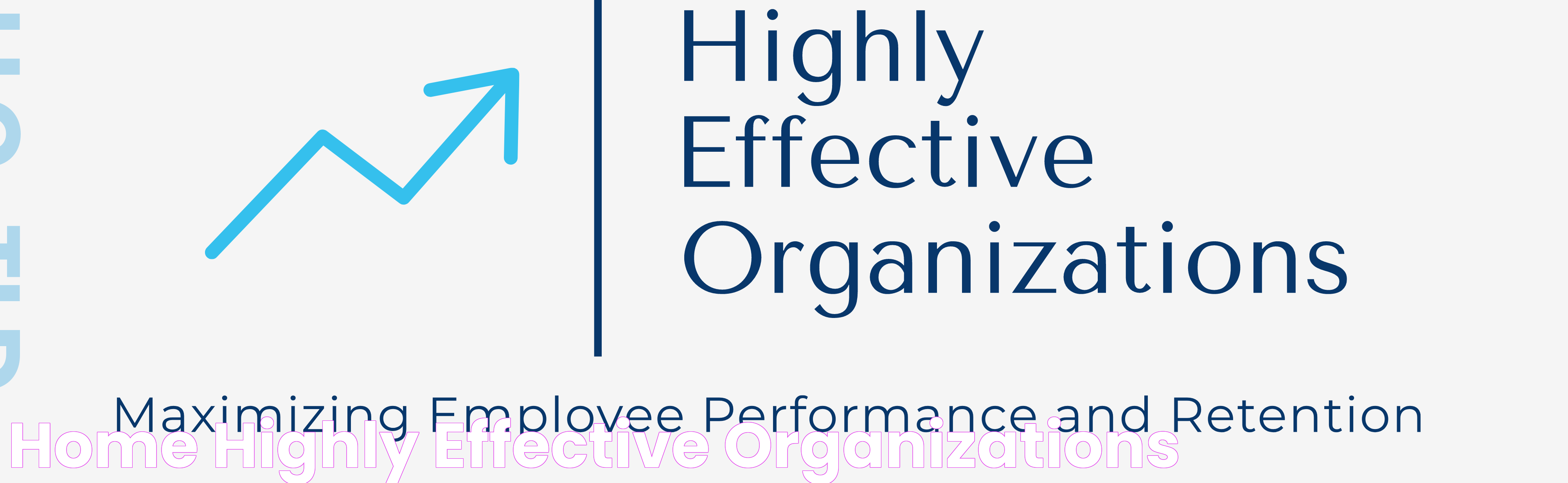 Effective Philanthropy: The Role Of Grantmakers For Effective Organizations