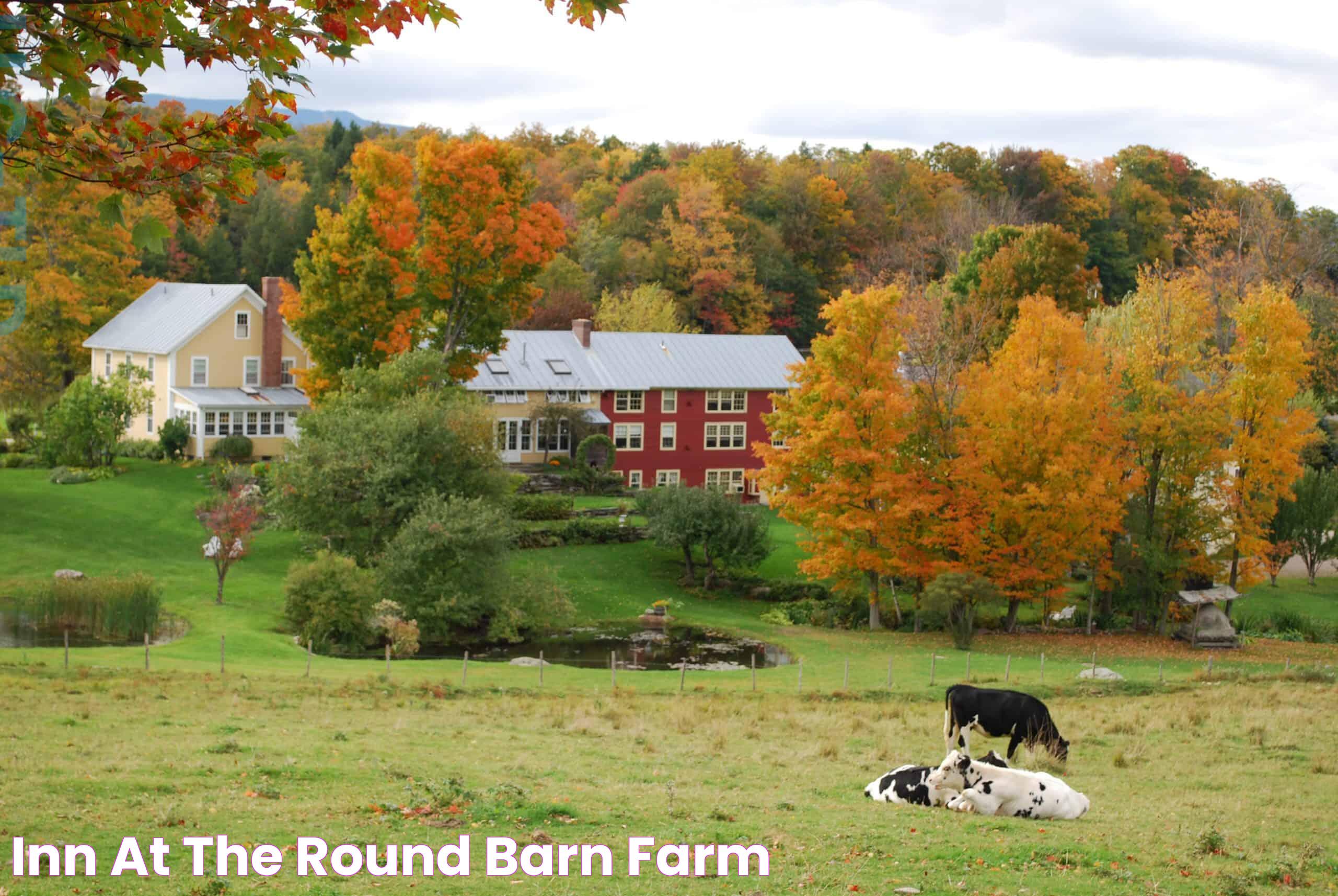 Charming Retreat: The Round Barn Inn Vermont Experience