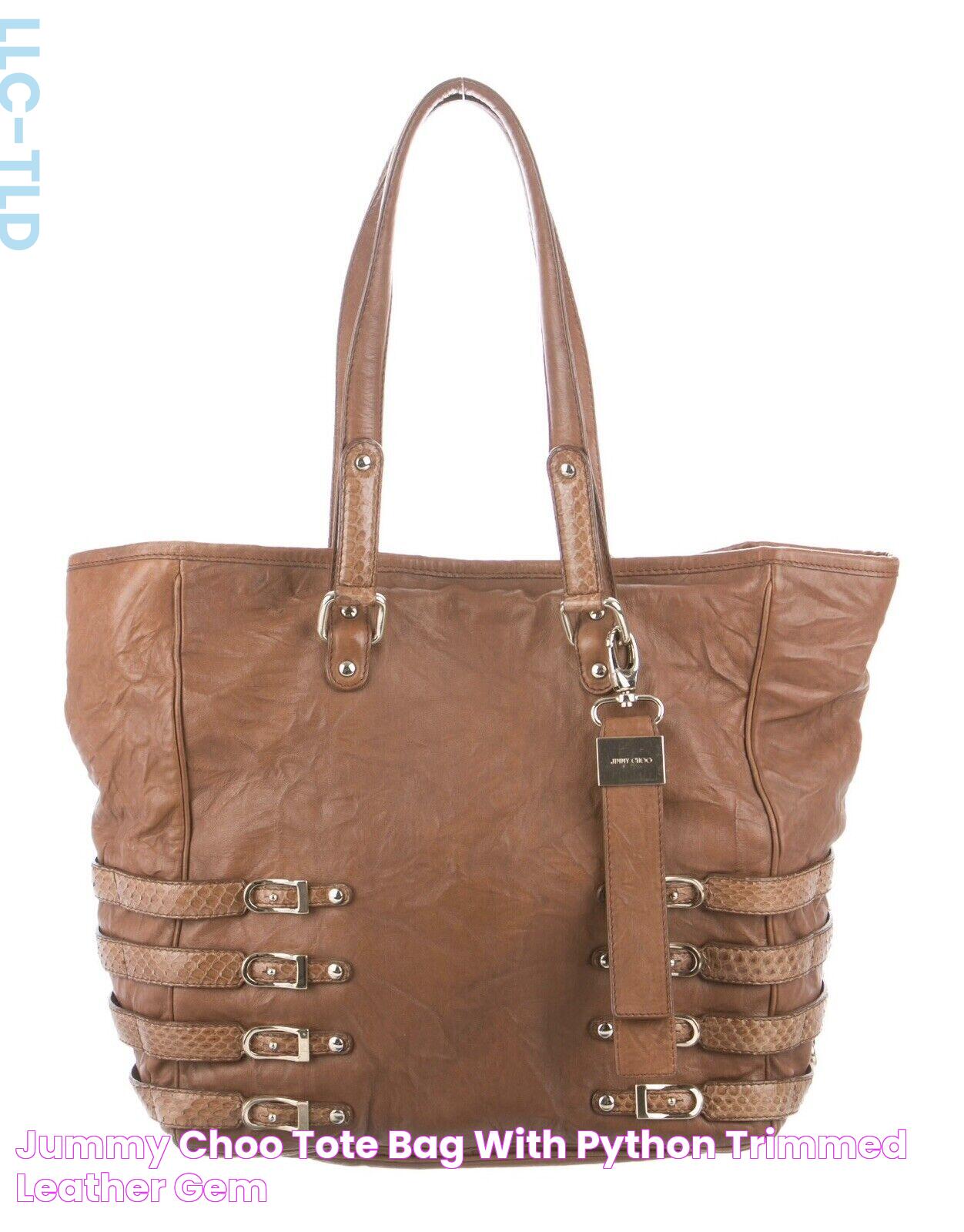 Jummy Choo Tote bag with Python Trimmed Leather Gem