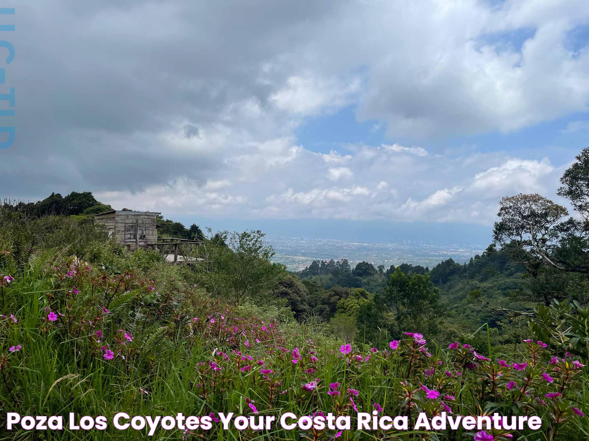 Poza Los Coyotes Your Costa Rica Adventure