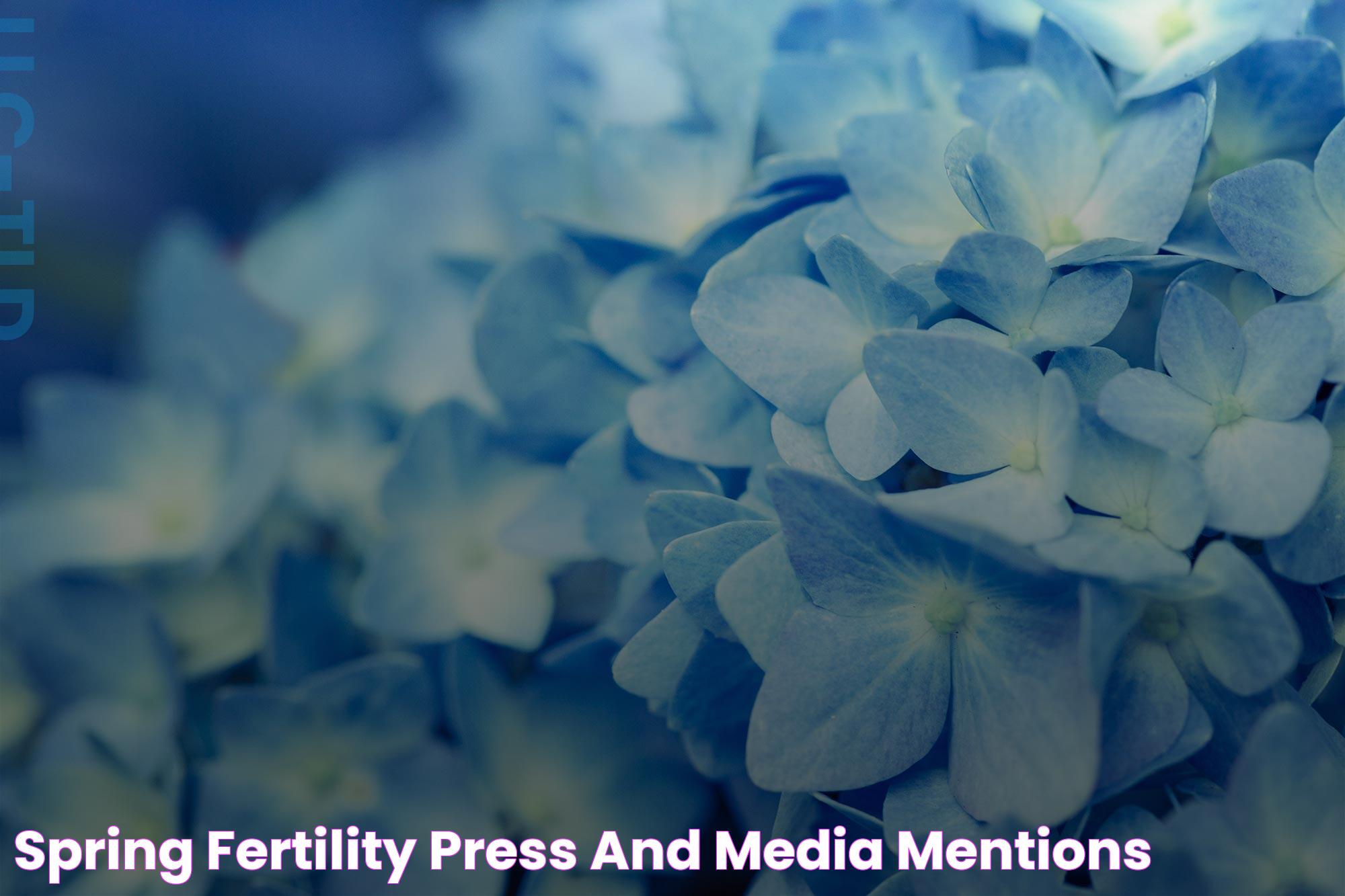 Spring Fertility Press and Media Mentions