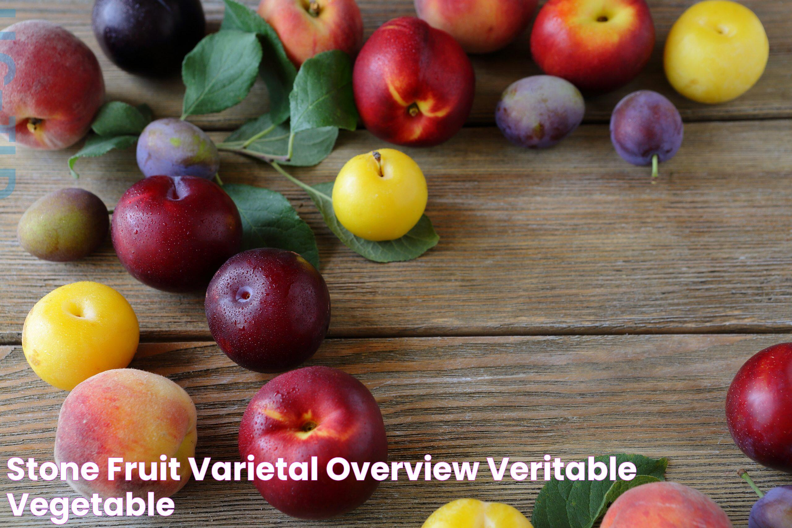 Stone Fruit Varietal Overview Veritable Vegetable