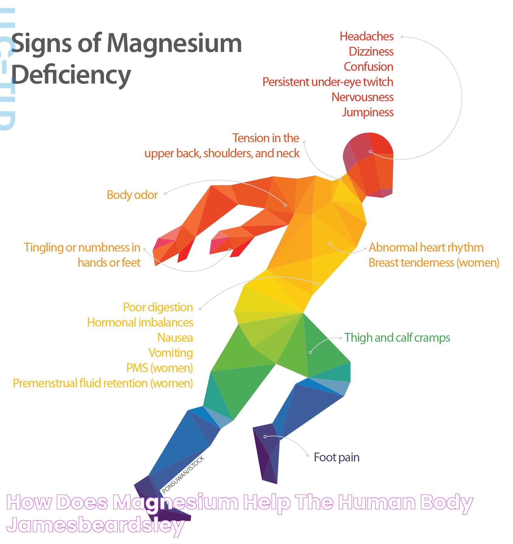 How Does Magnesium Help The Human Body JamesBeardsley