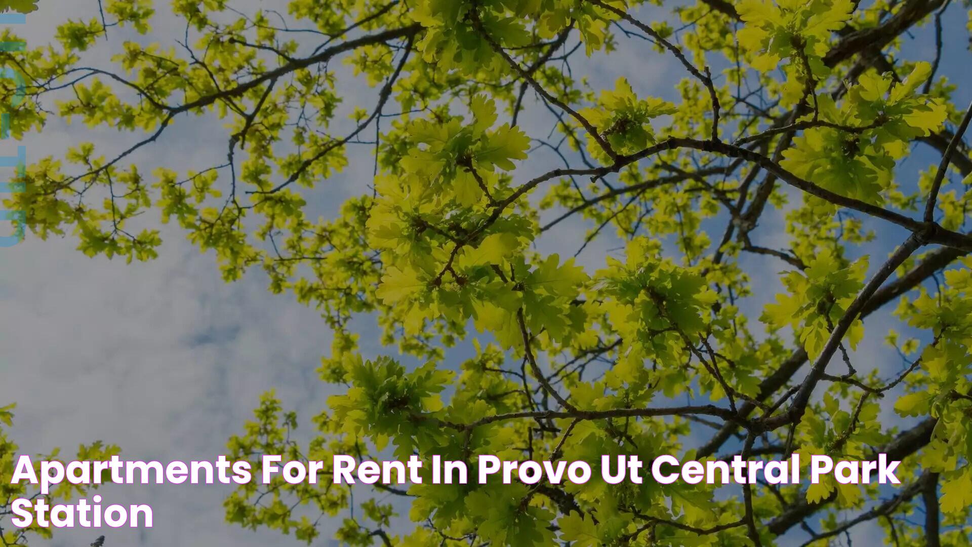 Apartments for Rent in Provo, UT Central Park Station