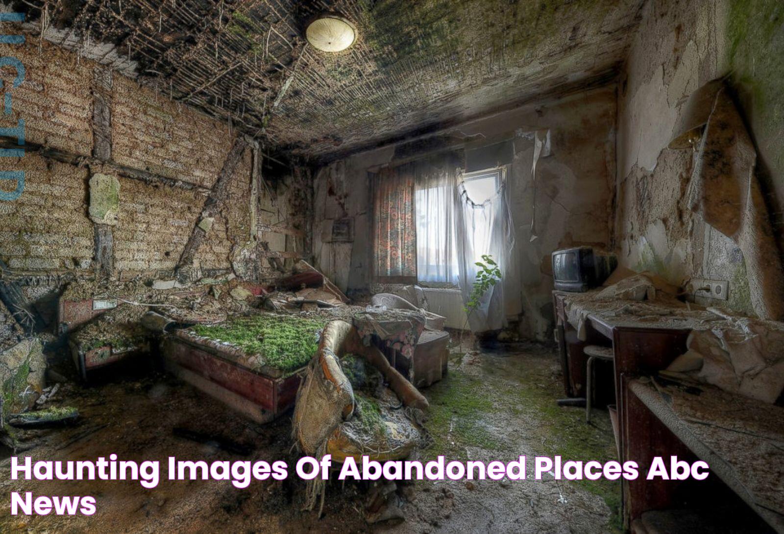 Maryland's Secret Gems: Abandoned Locations Revealed