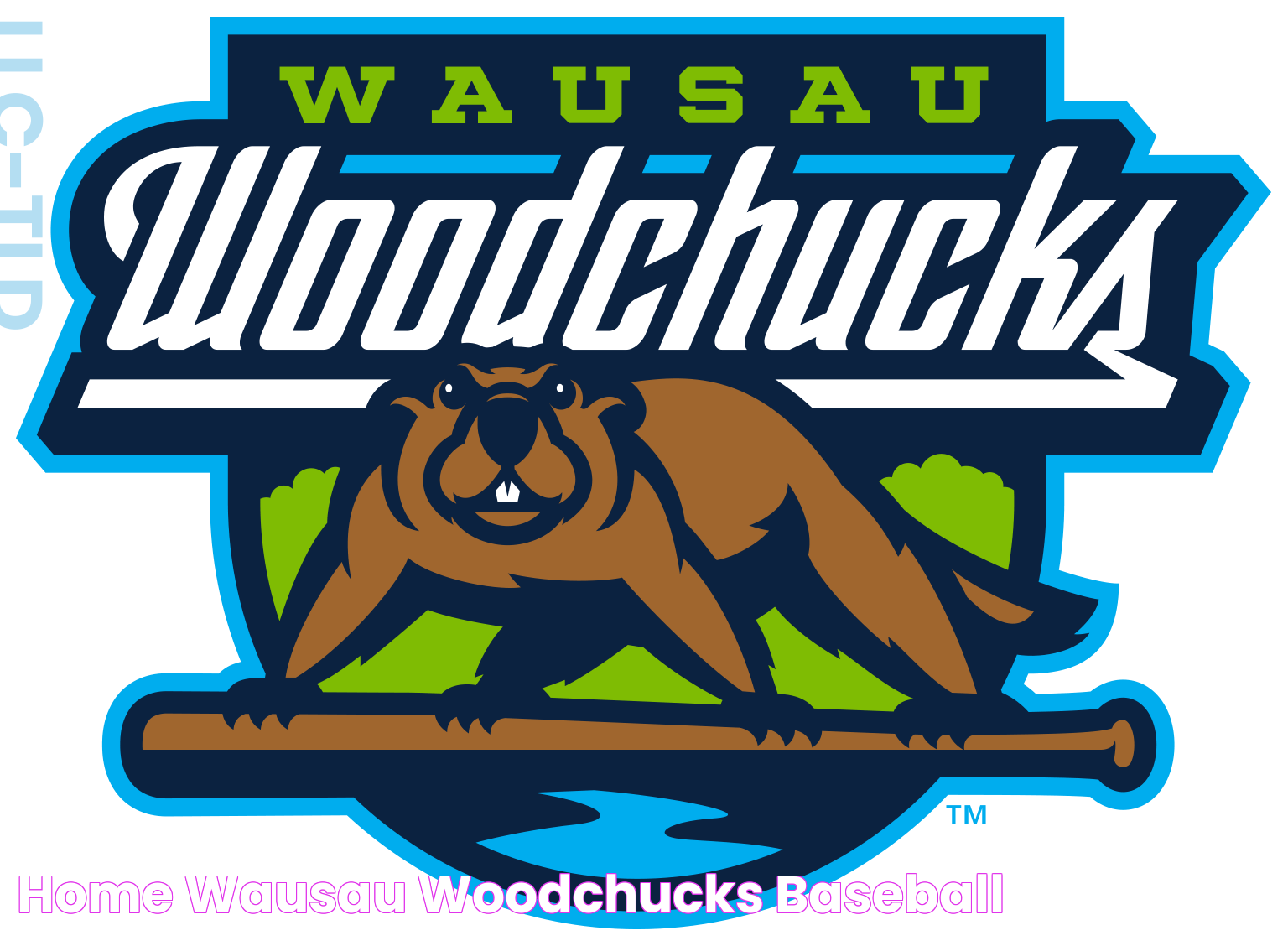 Wisconsin Woodchucks Baseball: A Deep Dive Into The Team's History And Impact