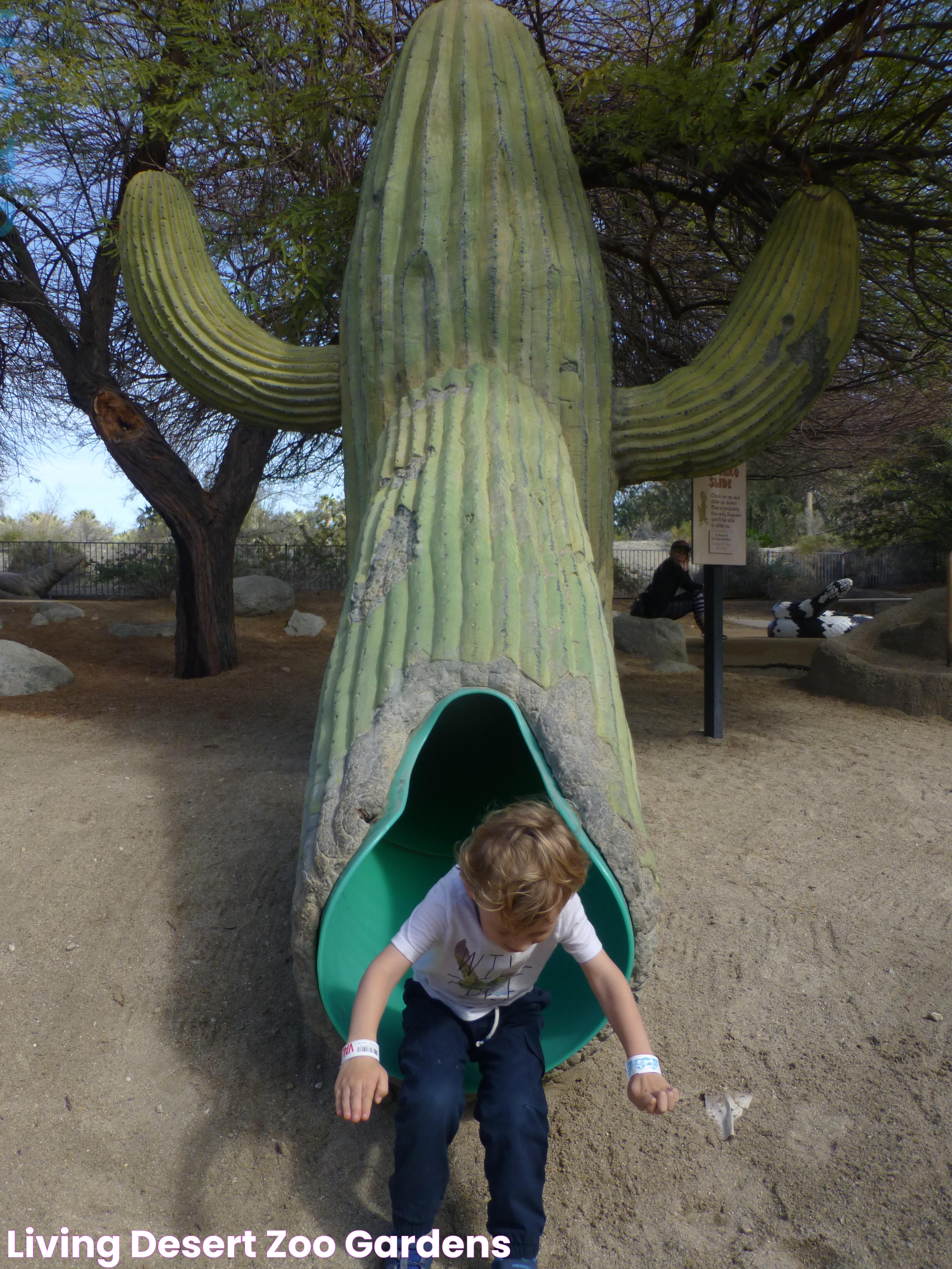 Discover The Wonders Of Living Desert Zoo And Gardens In Palm Desert