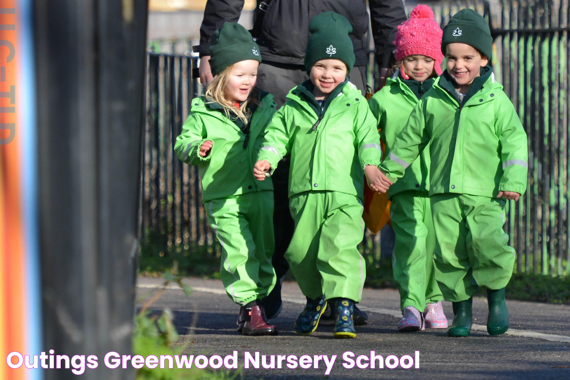 Greenwood Nursery: Your Ultimate Guide To Quality Plants And Gardening Solutions