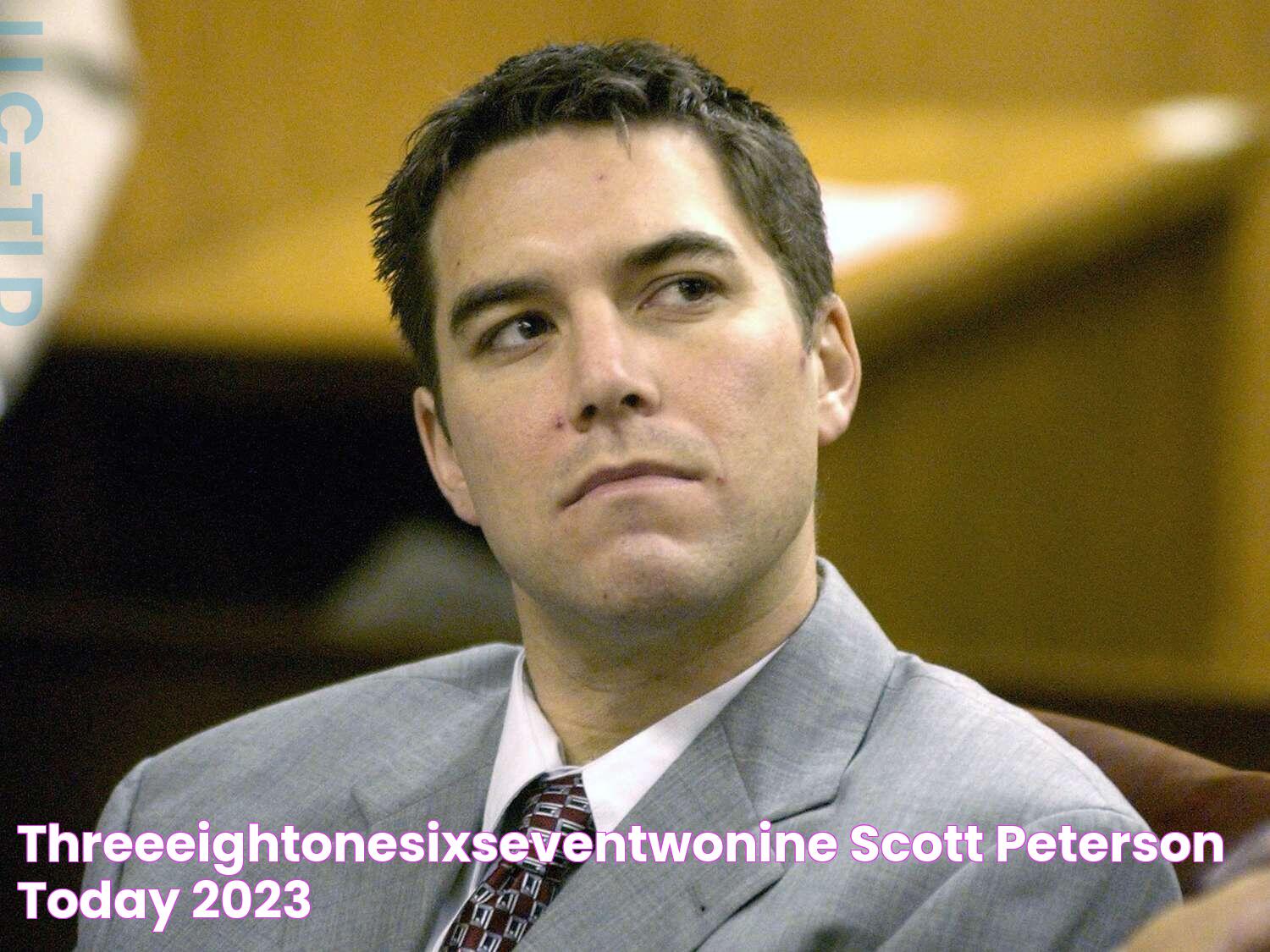 Scott Peterson 2023: A Year Of Reflection And Renewed Interest