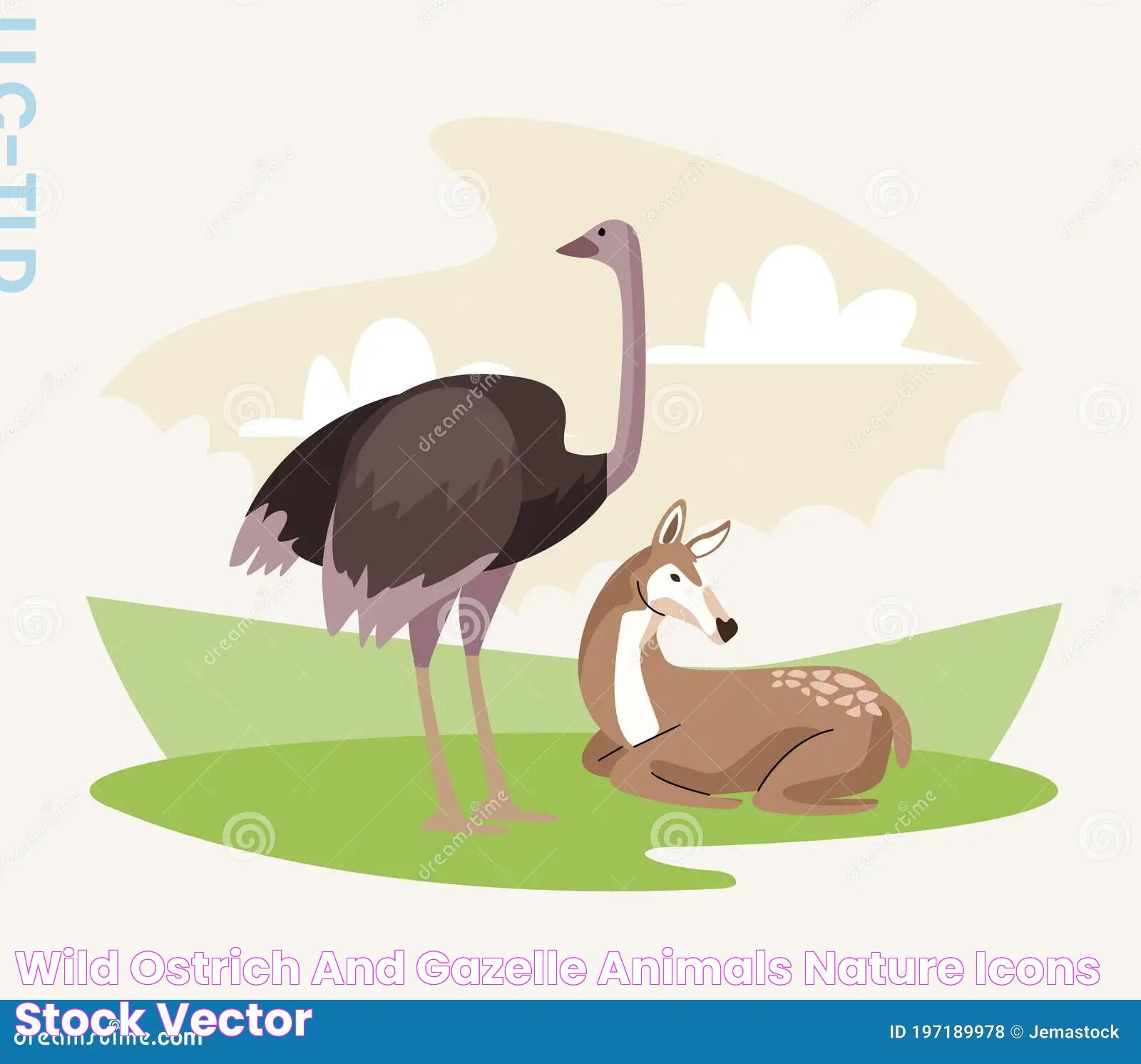 Uncovering The Dynamic Relationship Between Ostrich And Gazelle: Nature's Unlikely Companions