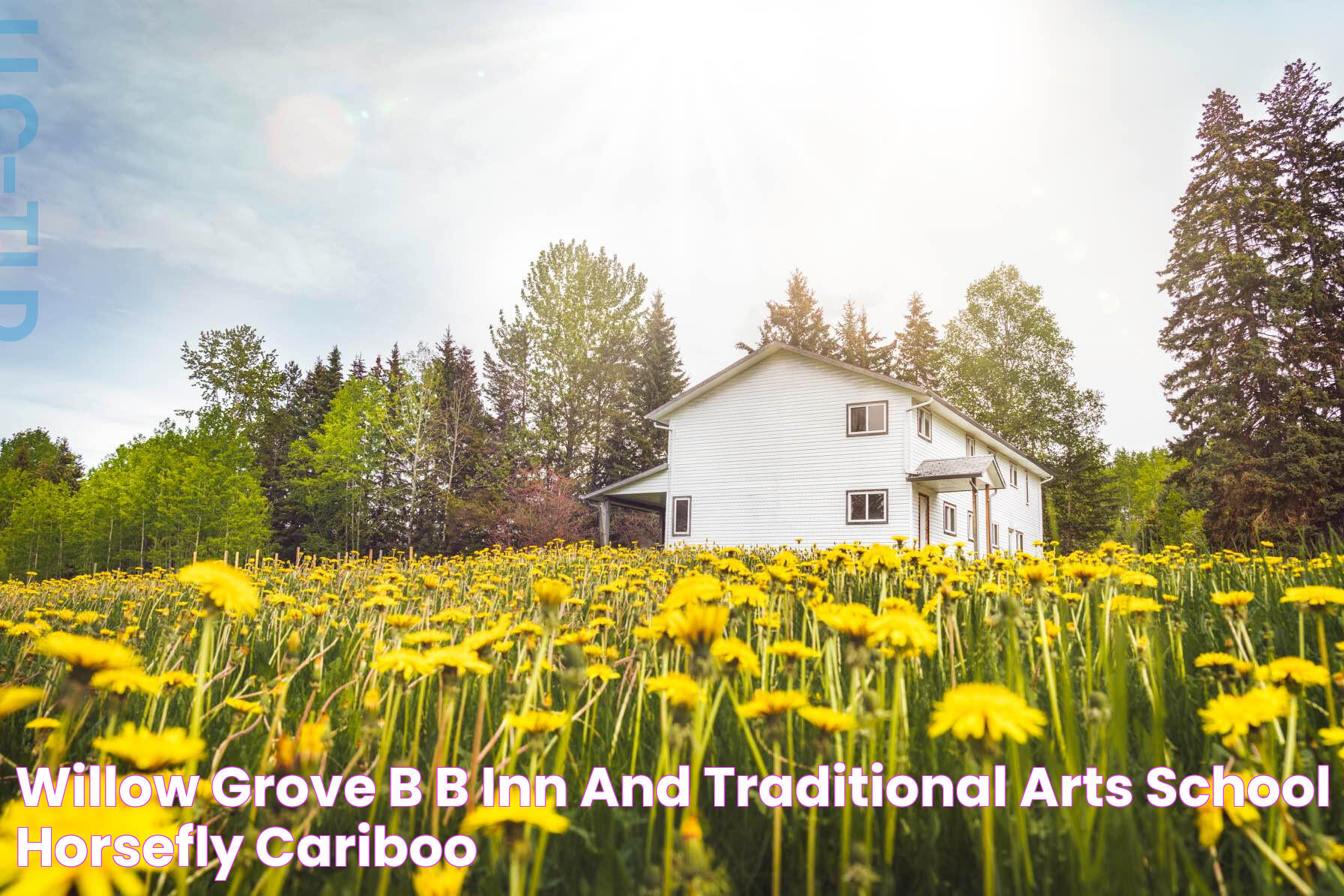 Willow Grove B&B Inn and Traditional Arts School Horsefly Cariboo