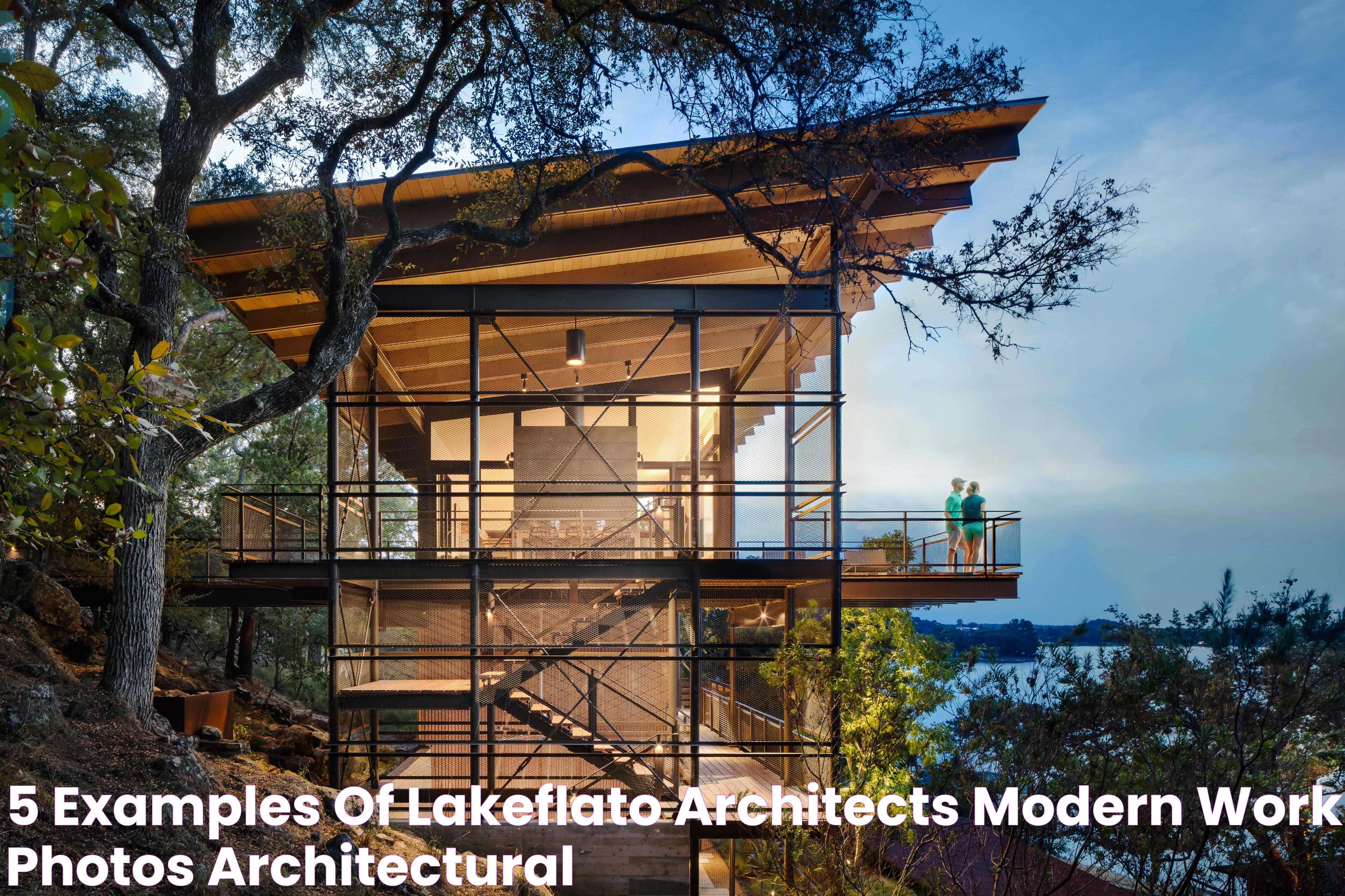 5 Examples of LakeFlato Architects’ Modern Work Photos Architectural