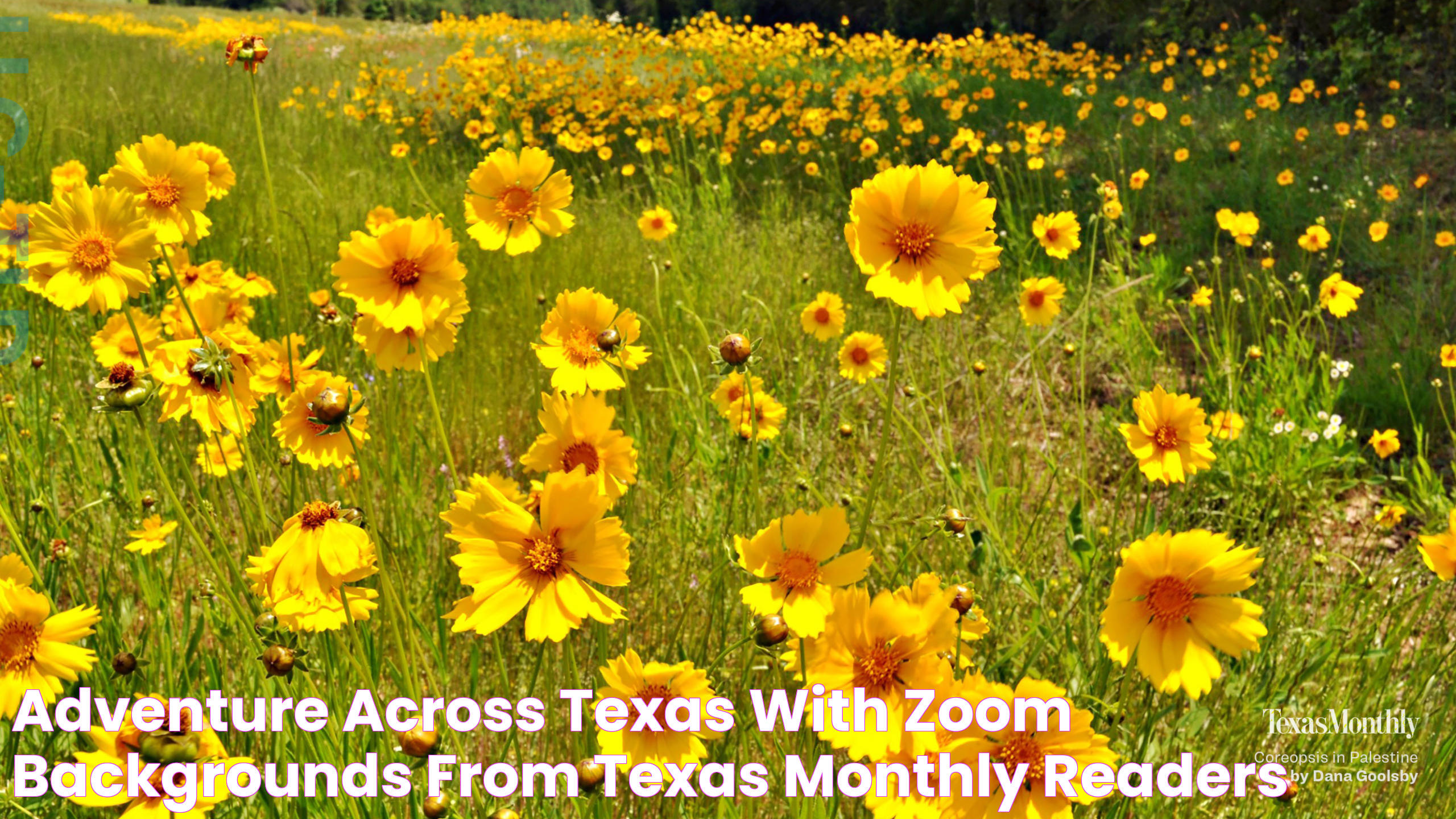 Adventure Across Texas With Zoom Backgrounds From Texas Monthly Readers