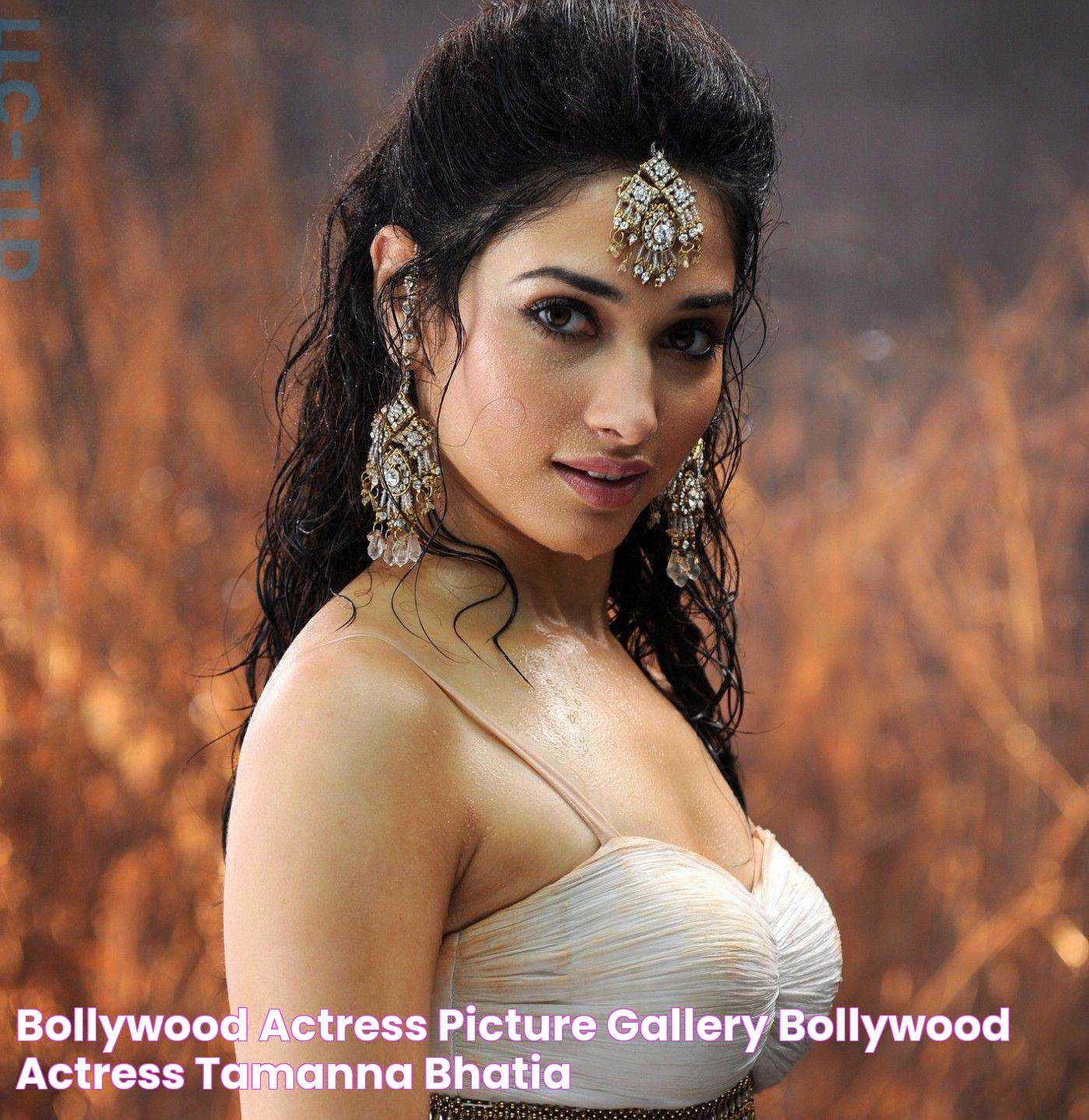 Bollywood Actress Picture Gallery Bollywood Actress Tamanna Bhatia