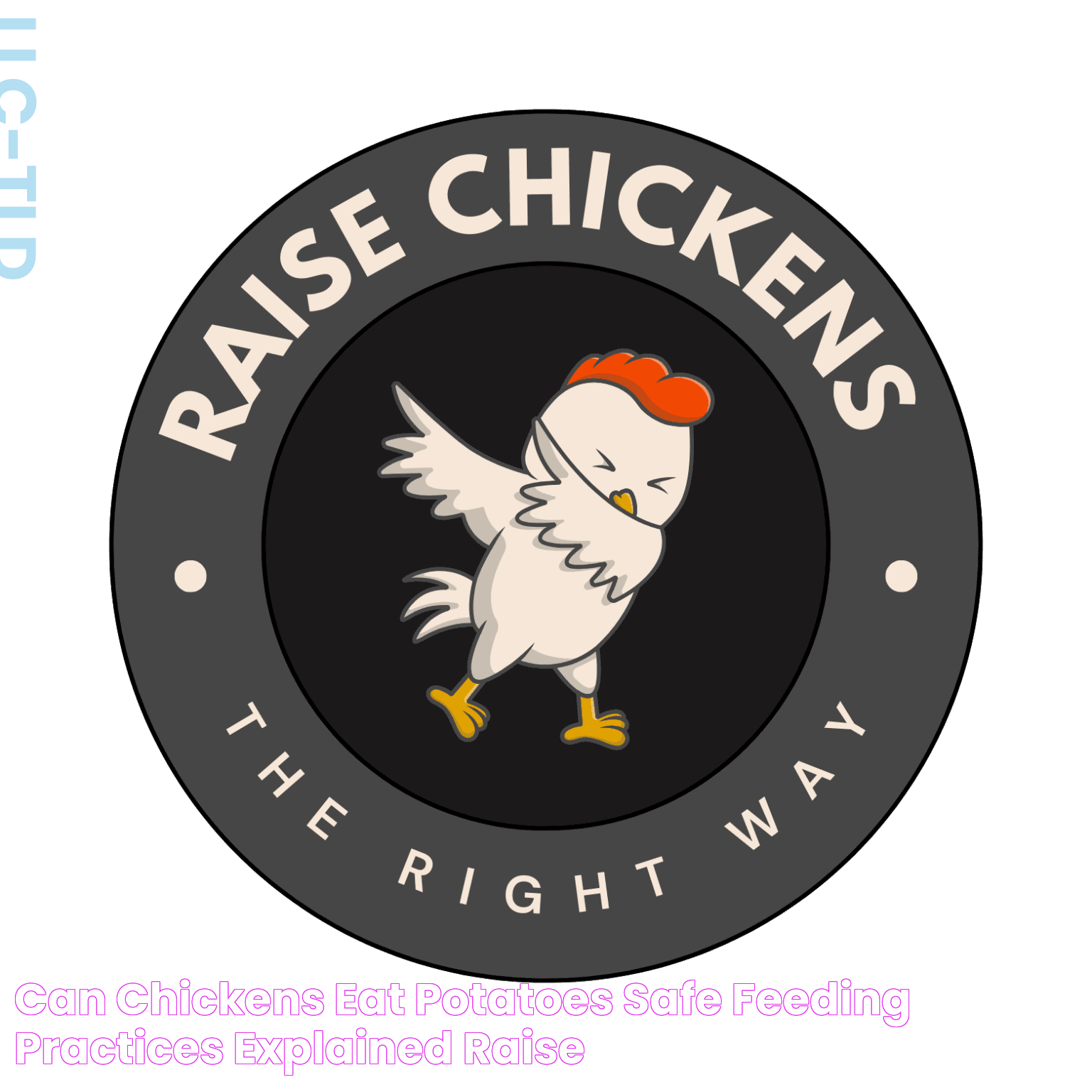 Can Chickens Eat Potatoes Safe Feeding Practices Explained Raise