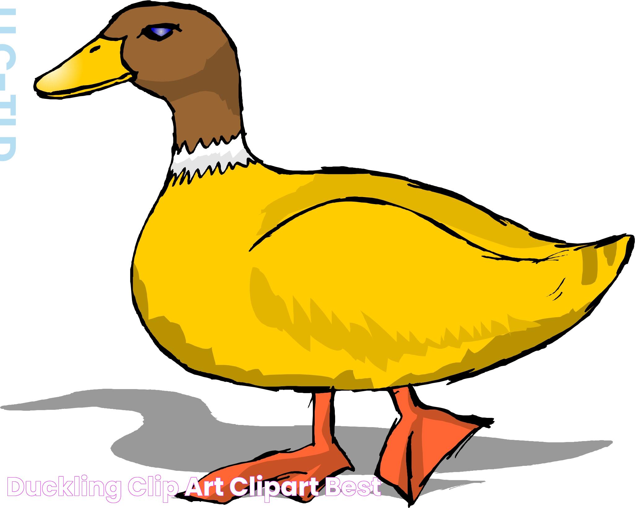 Duckling Clip Art ClipArt Best