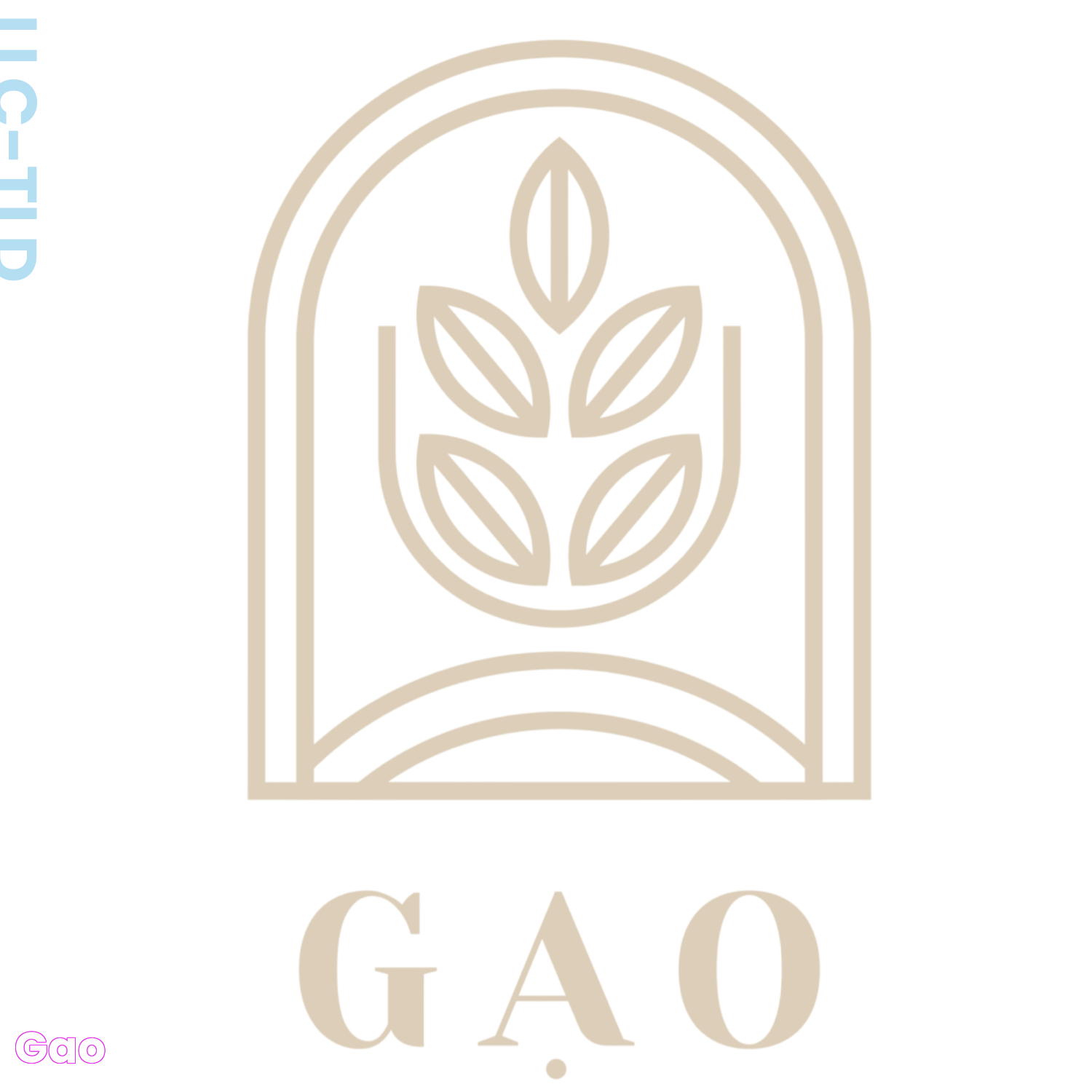 Baby Gao: A Tale Of Growth, Love, And Wonder