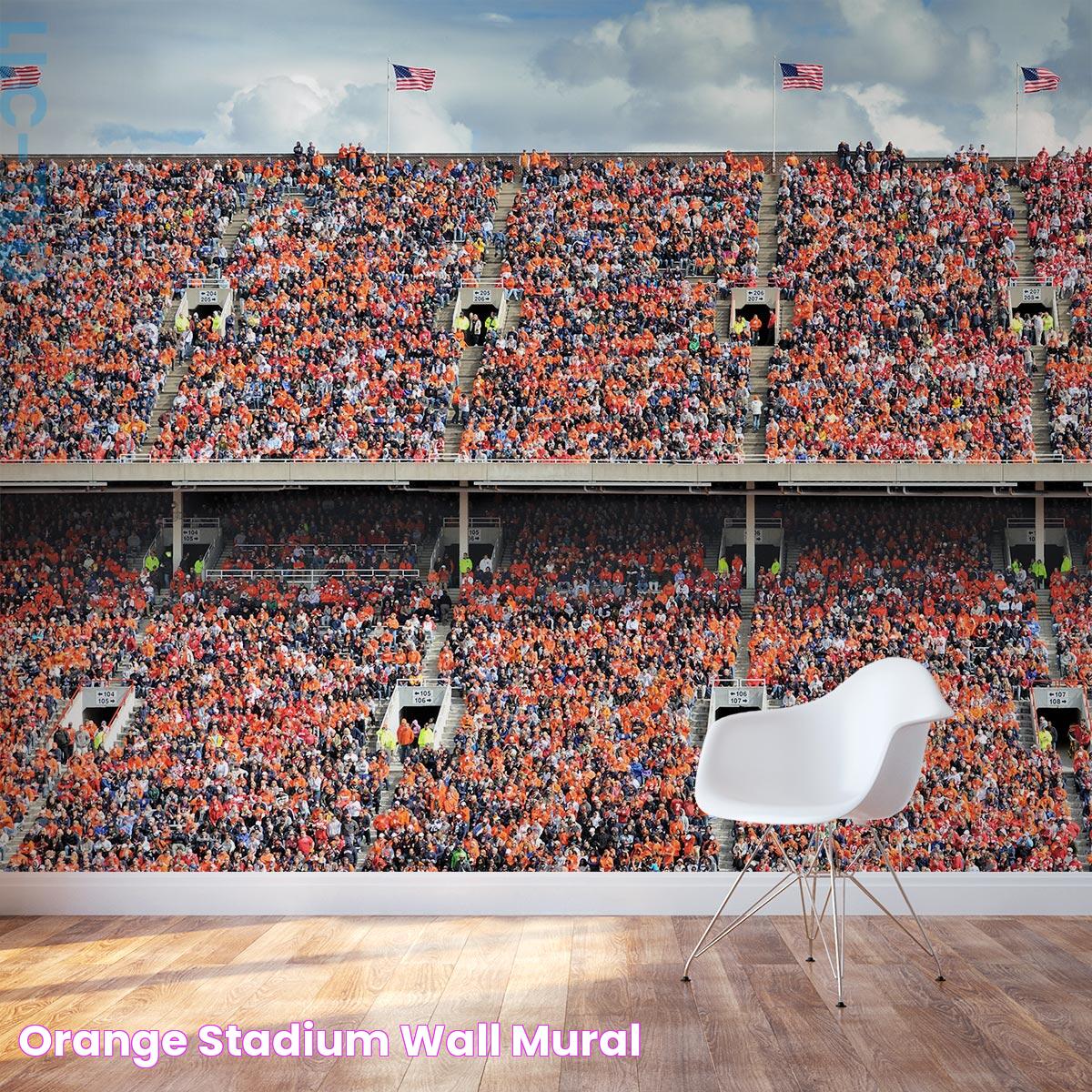 Orange Stadium Wall Mural