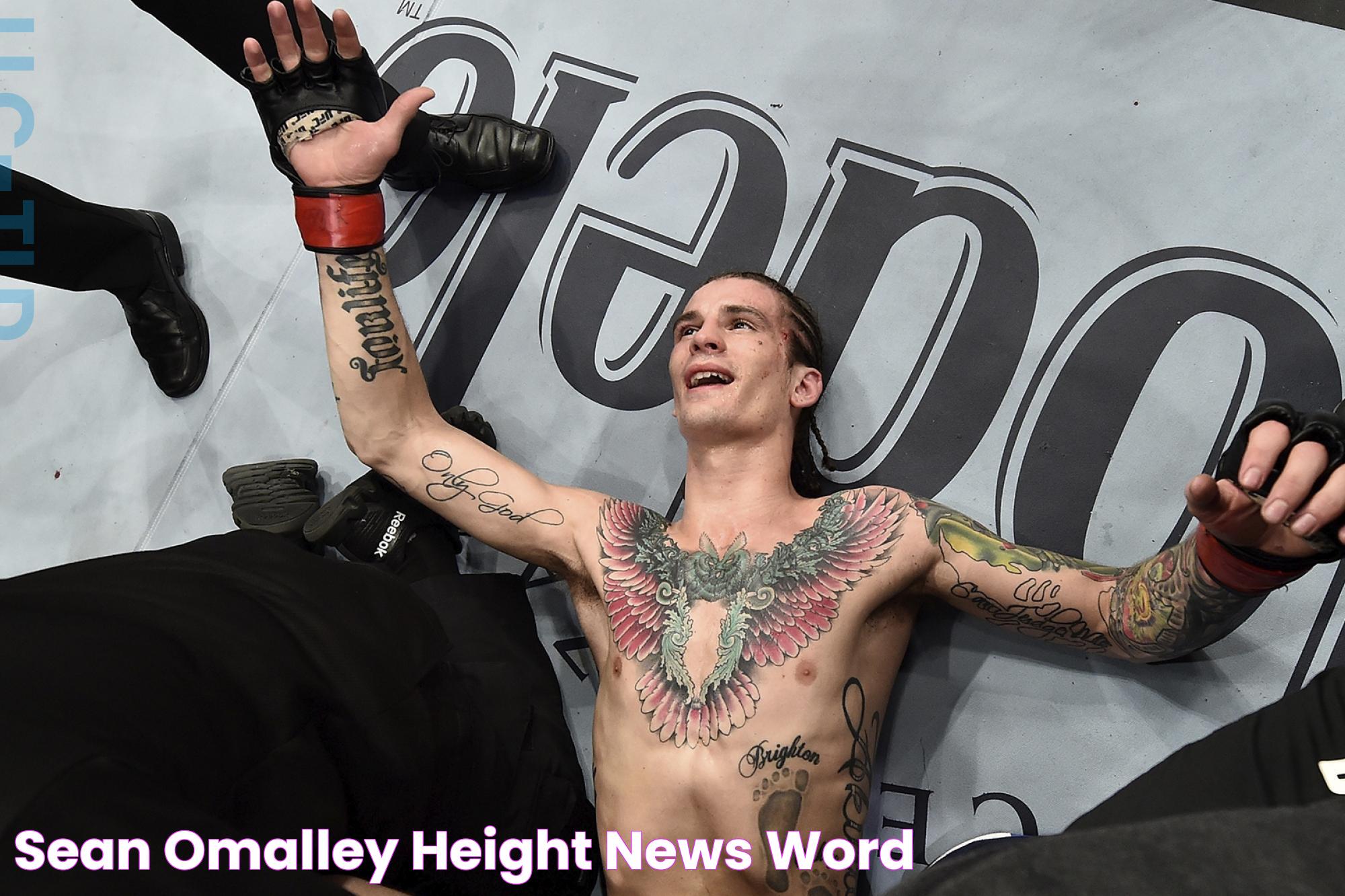 Sean O'Malley Height: Insights Into The Rising MMA Star