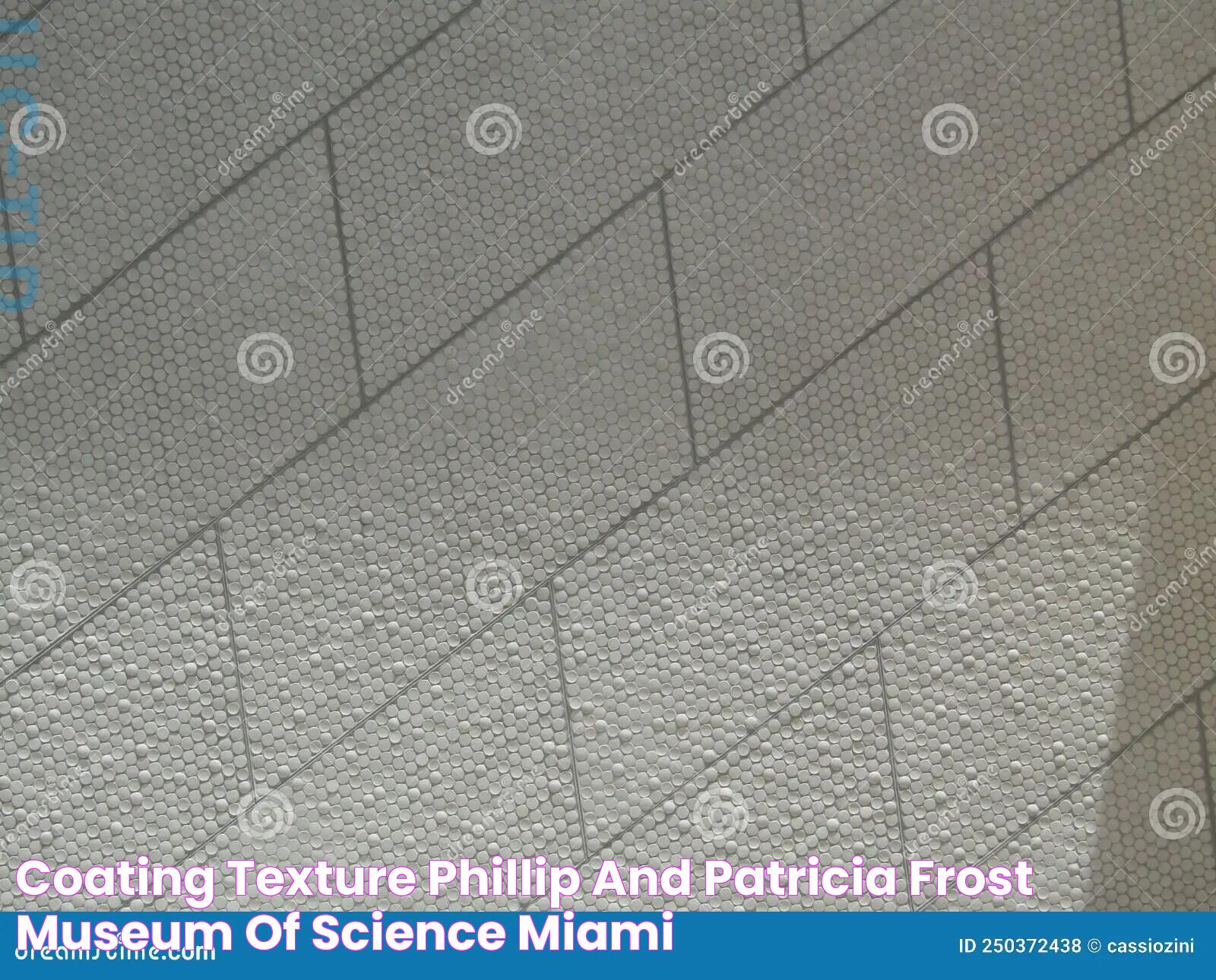 Phillip And Patricia Frost Museum Of Science Miami: A World Of Innovation And Discovery