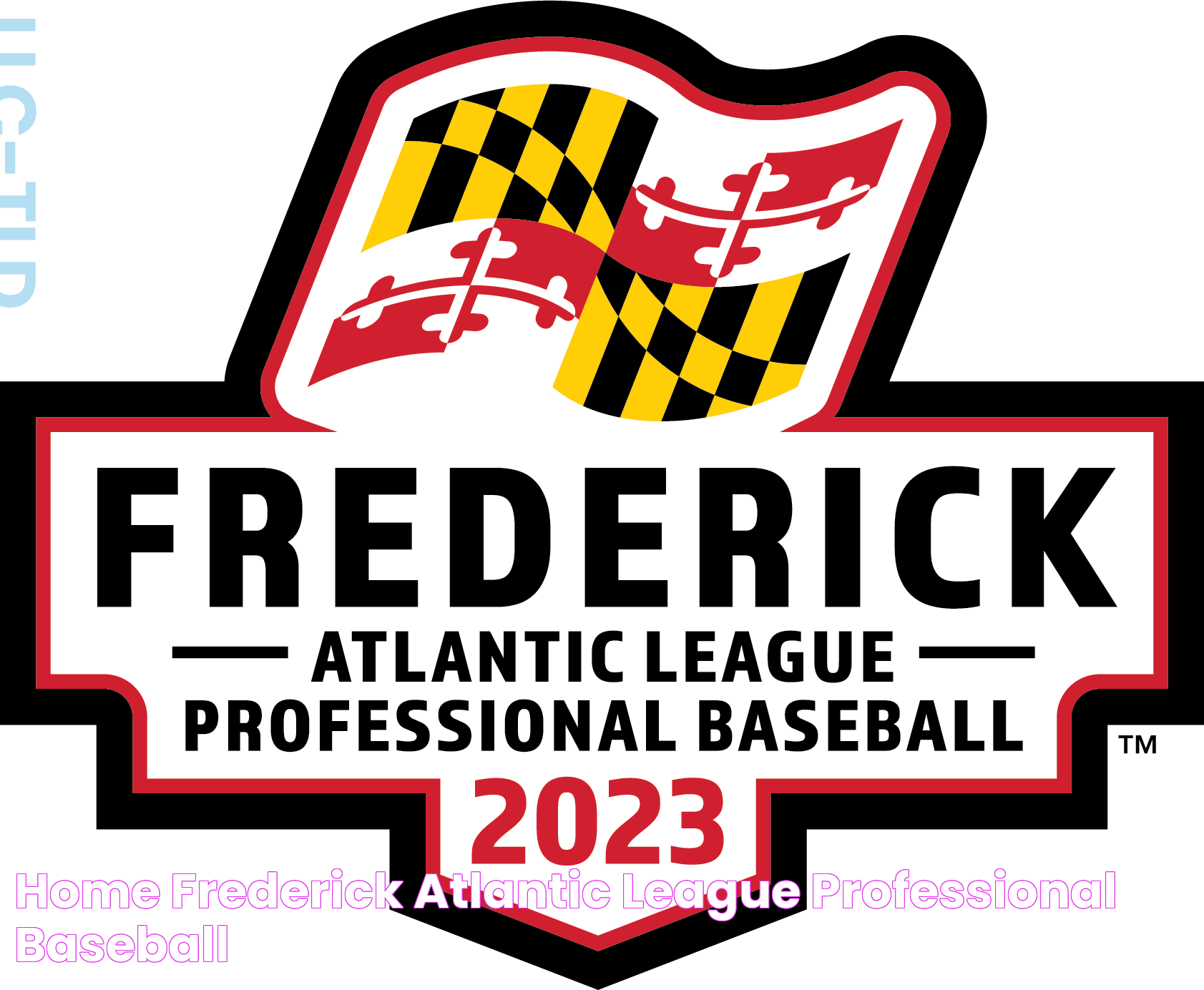 Top Highlights And Insights On Atlantic League Scores