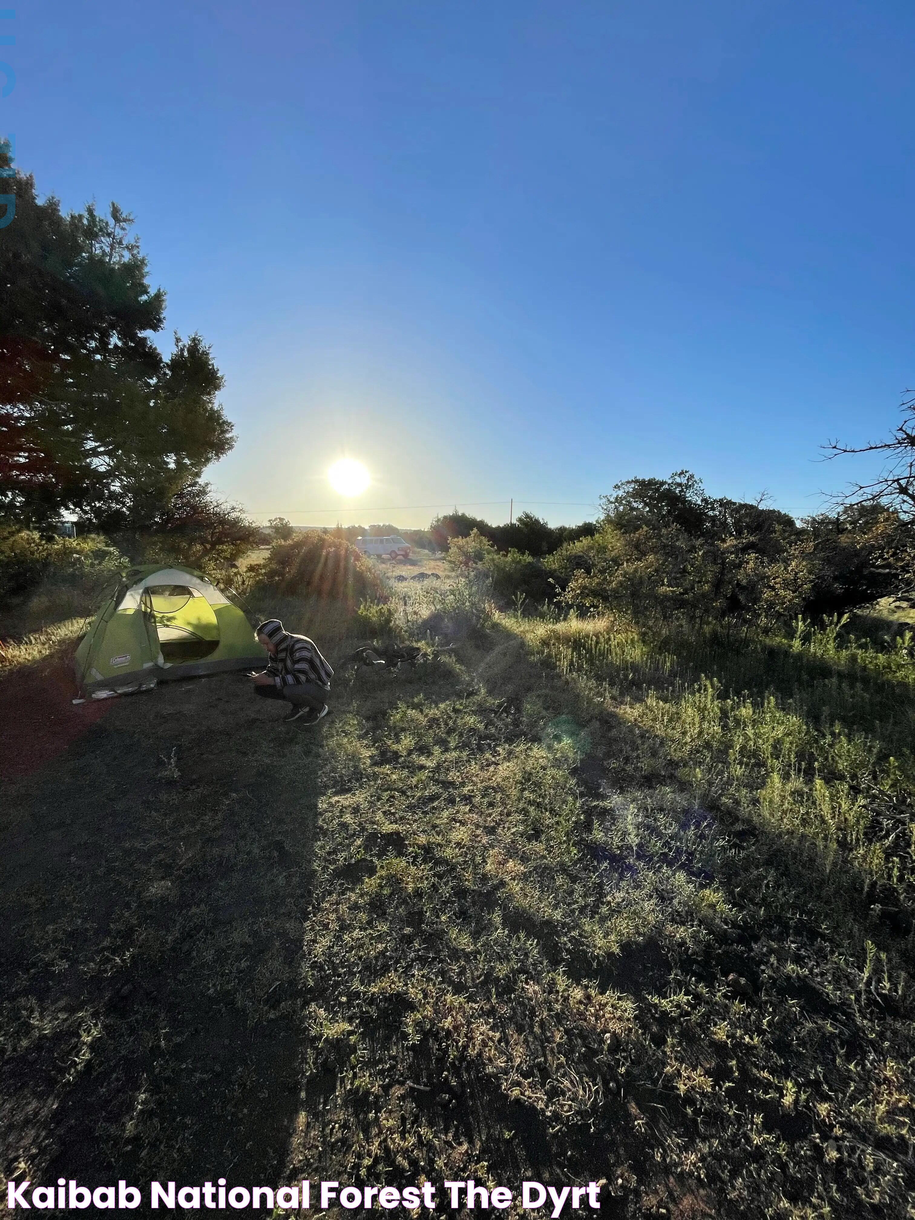 Kaibab National Forest Arizona: A Natural Wonderland Worth Visiting