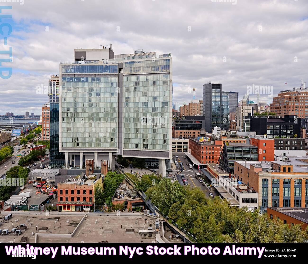 Art And Innovation At The Whitney NYC Museum: A Cultural Landmark