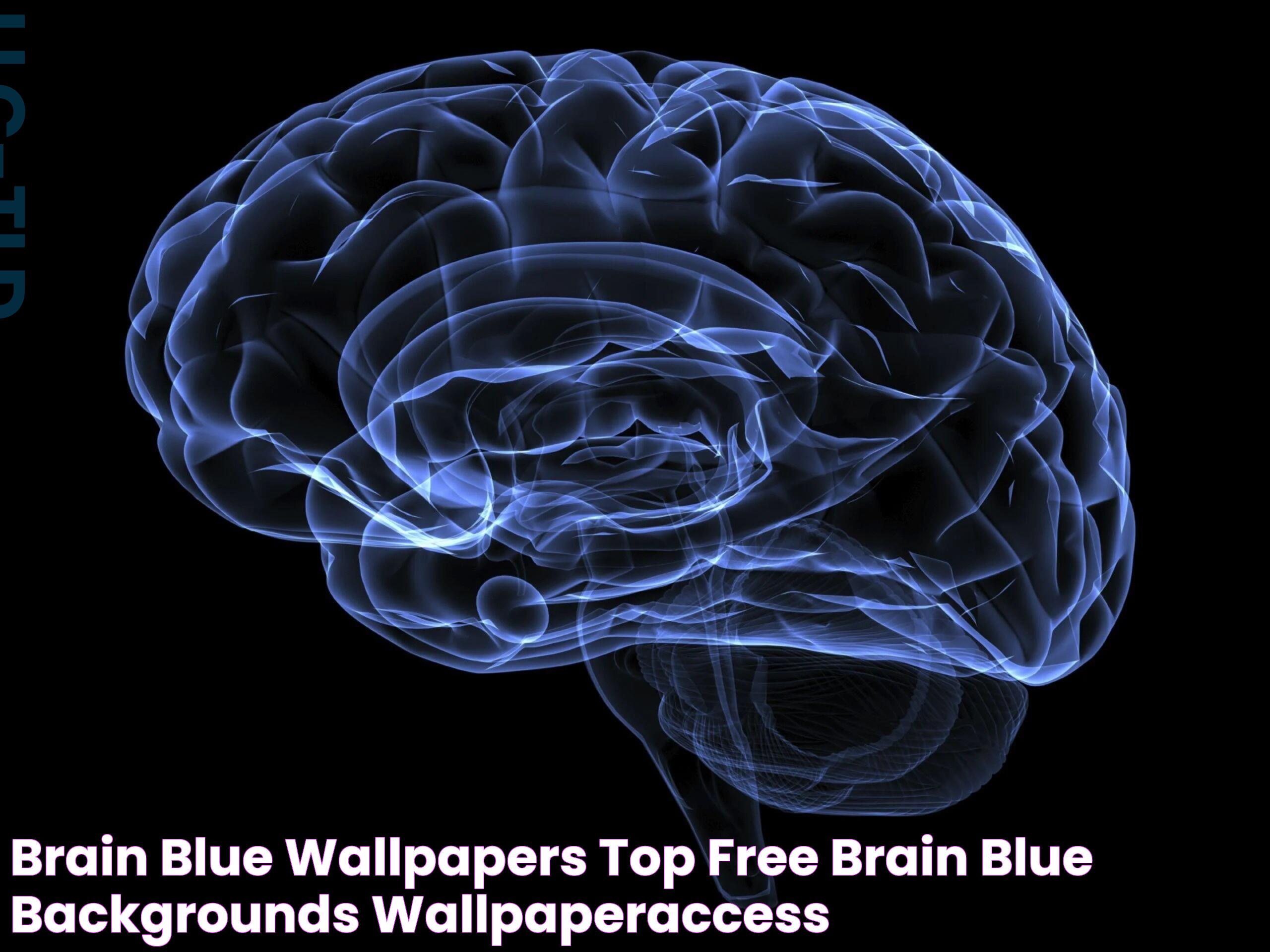 Brain Blue Wallpapers Top Free Brain Blue Backgrounds WallpaperAccess