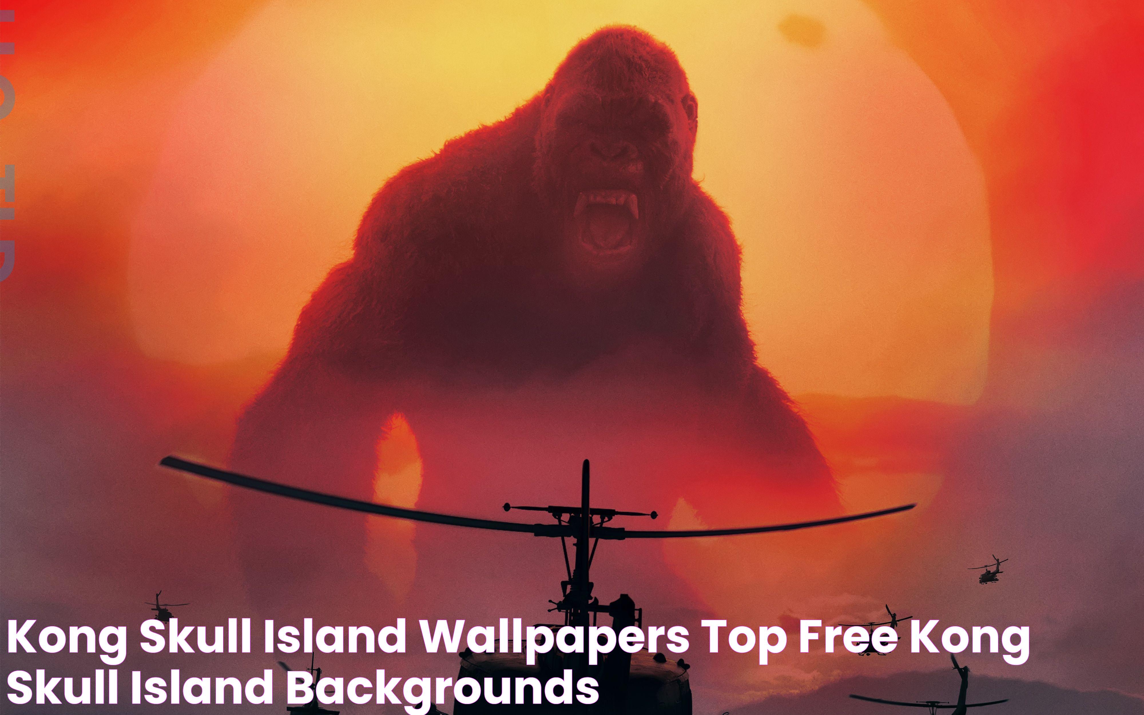 Kong Skull Island Wallpapers Top Free Kong Skull Island Backgrounds